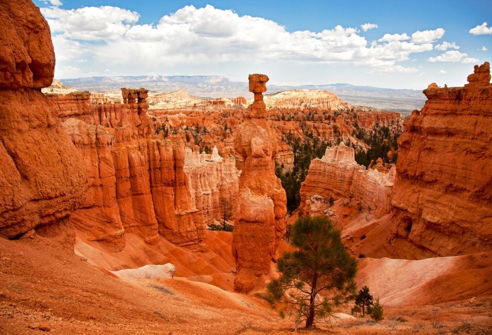 Highlights of the Wild West