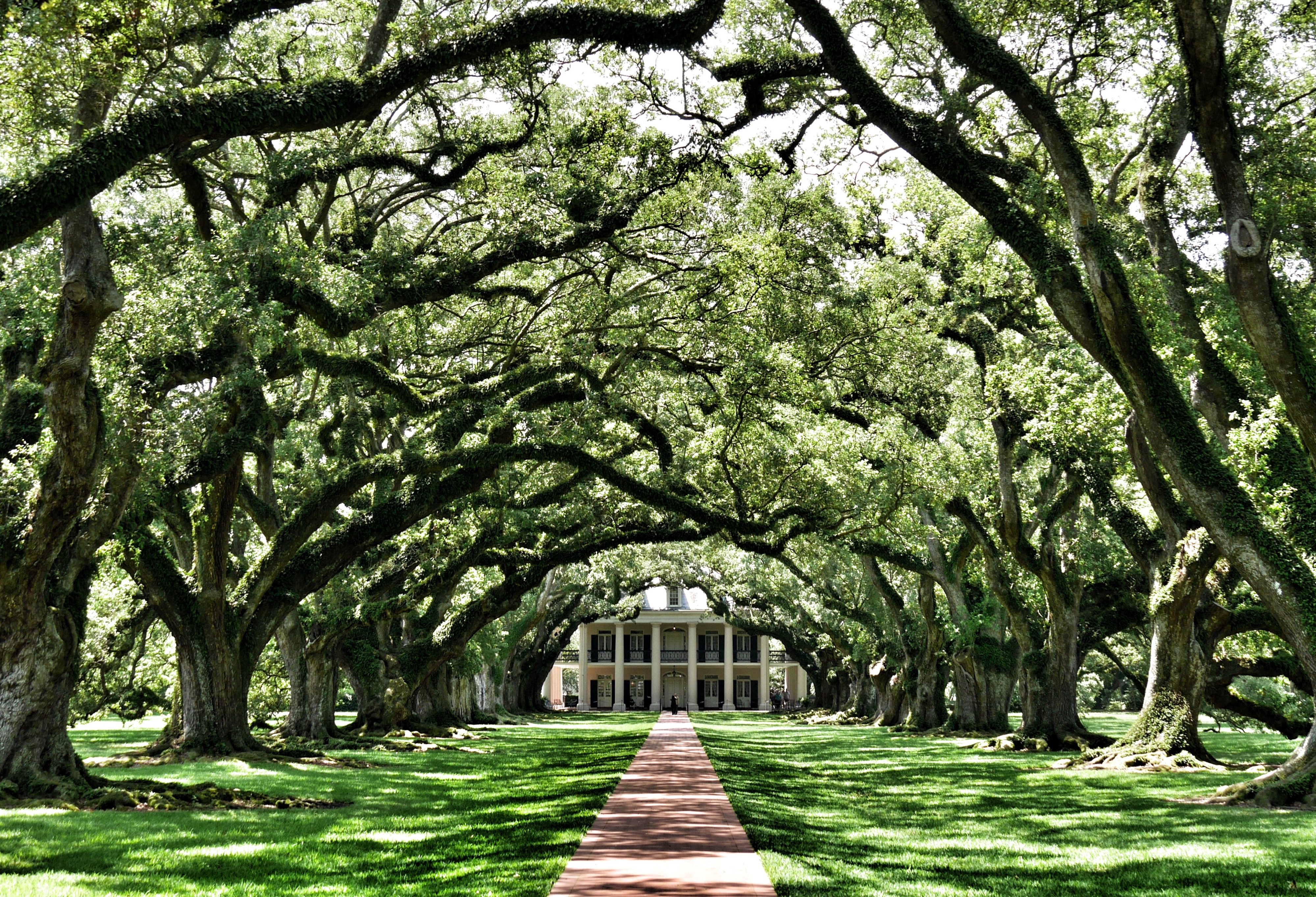New Orleans in Mississipi
