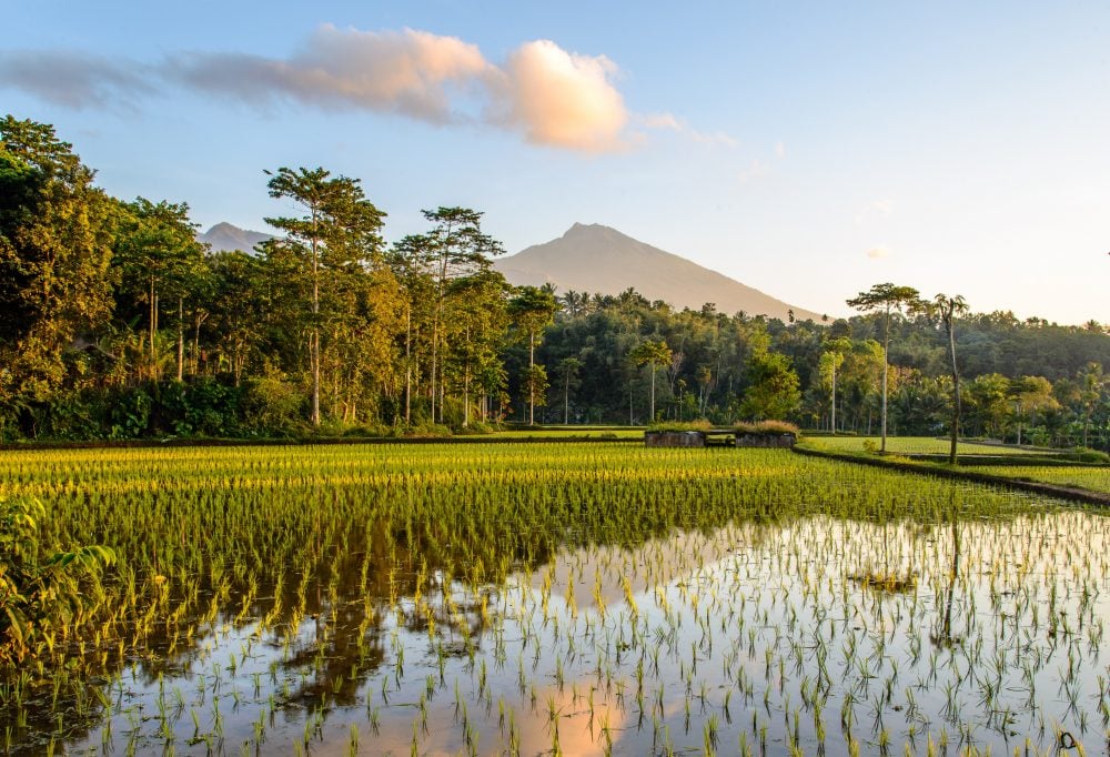 Bali en Lombok