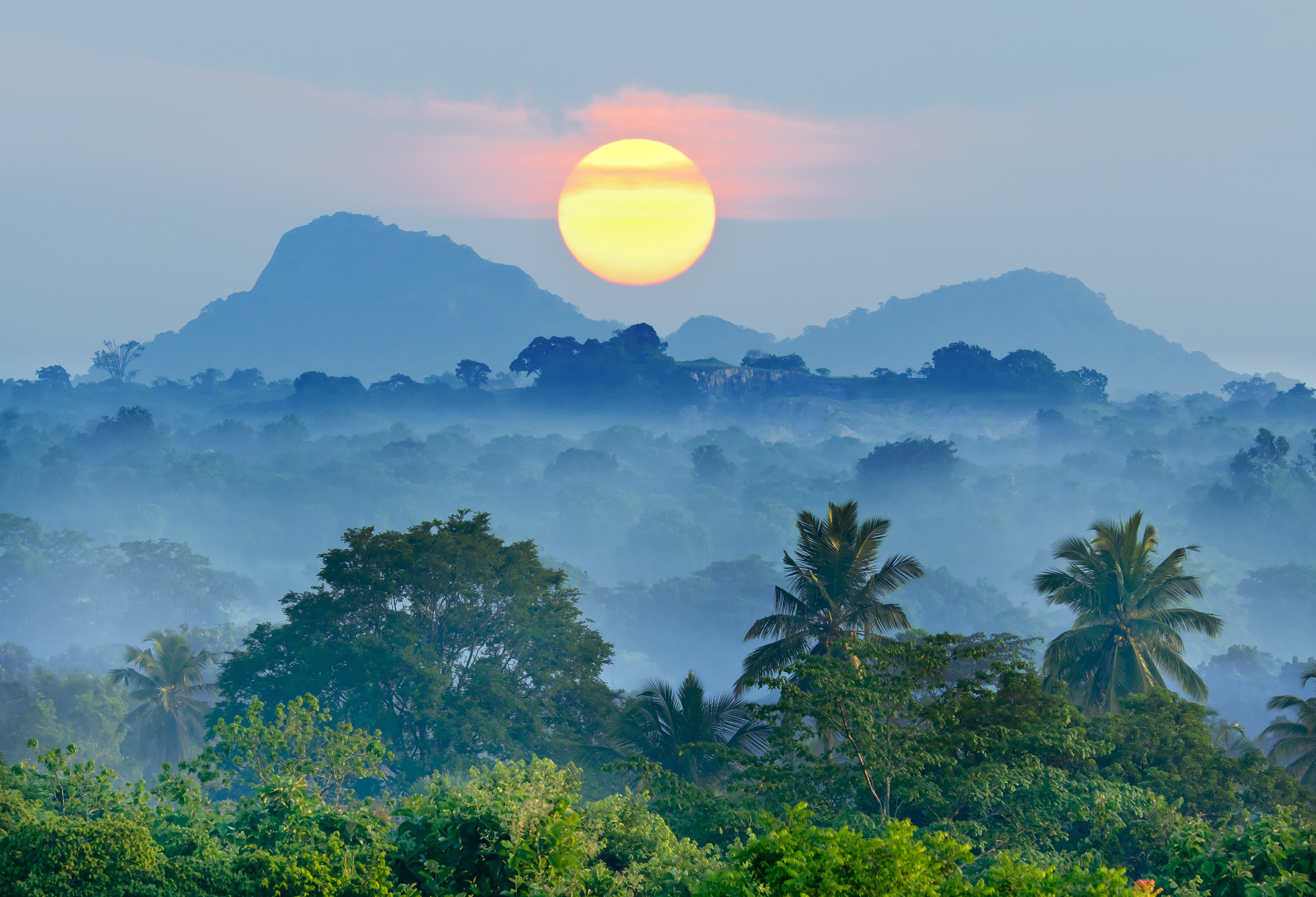 Солнце шри ланки. Джунгли Шри Ланки. Шри Ланка рассвет. Шри Ланка тропики. Тропический лес Шри Ланка.