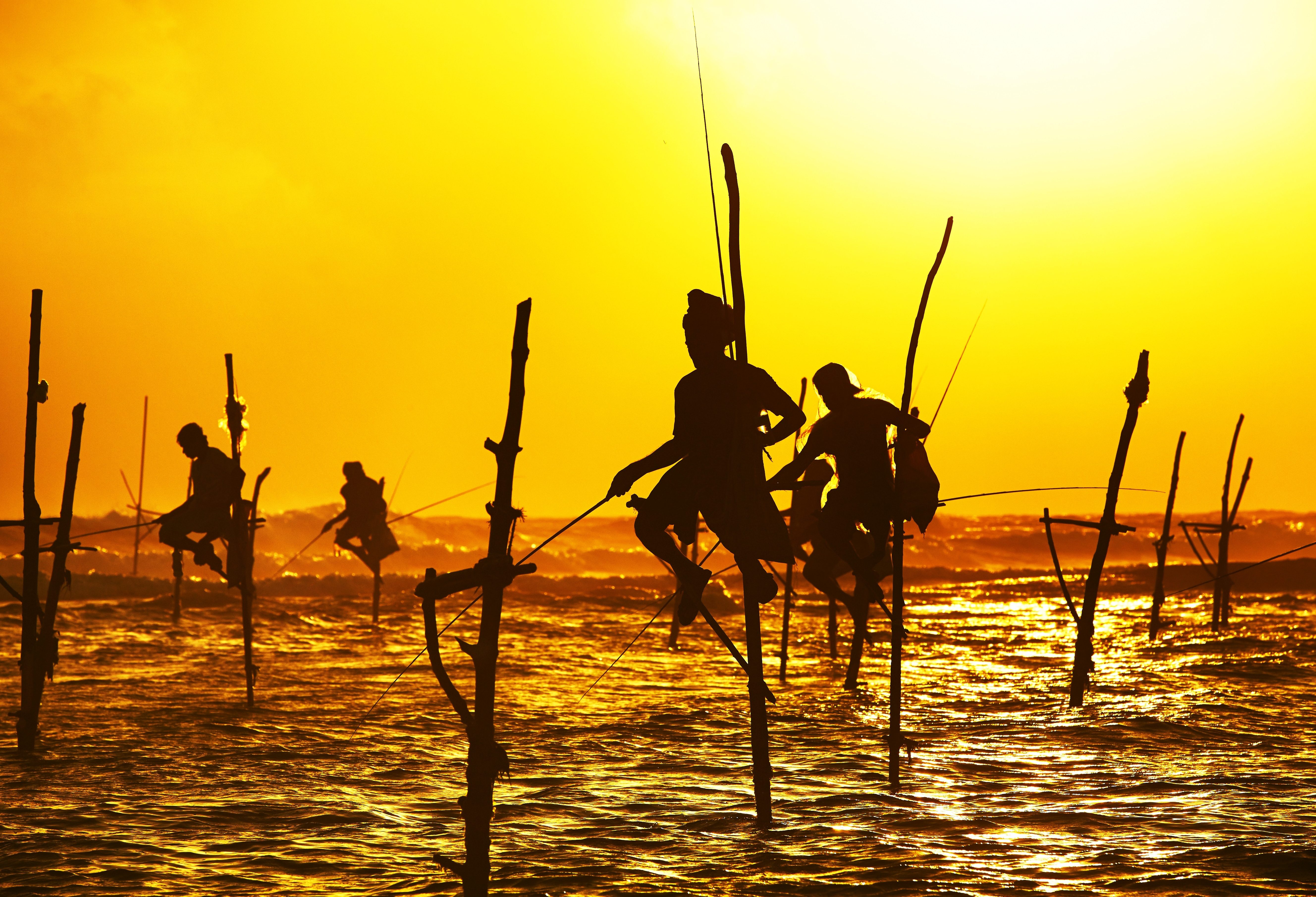 Paalvissers in Sri Lanka