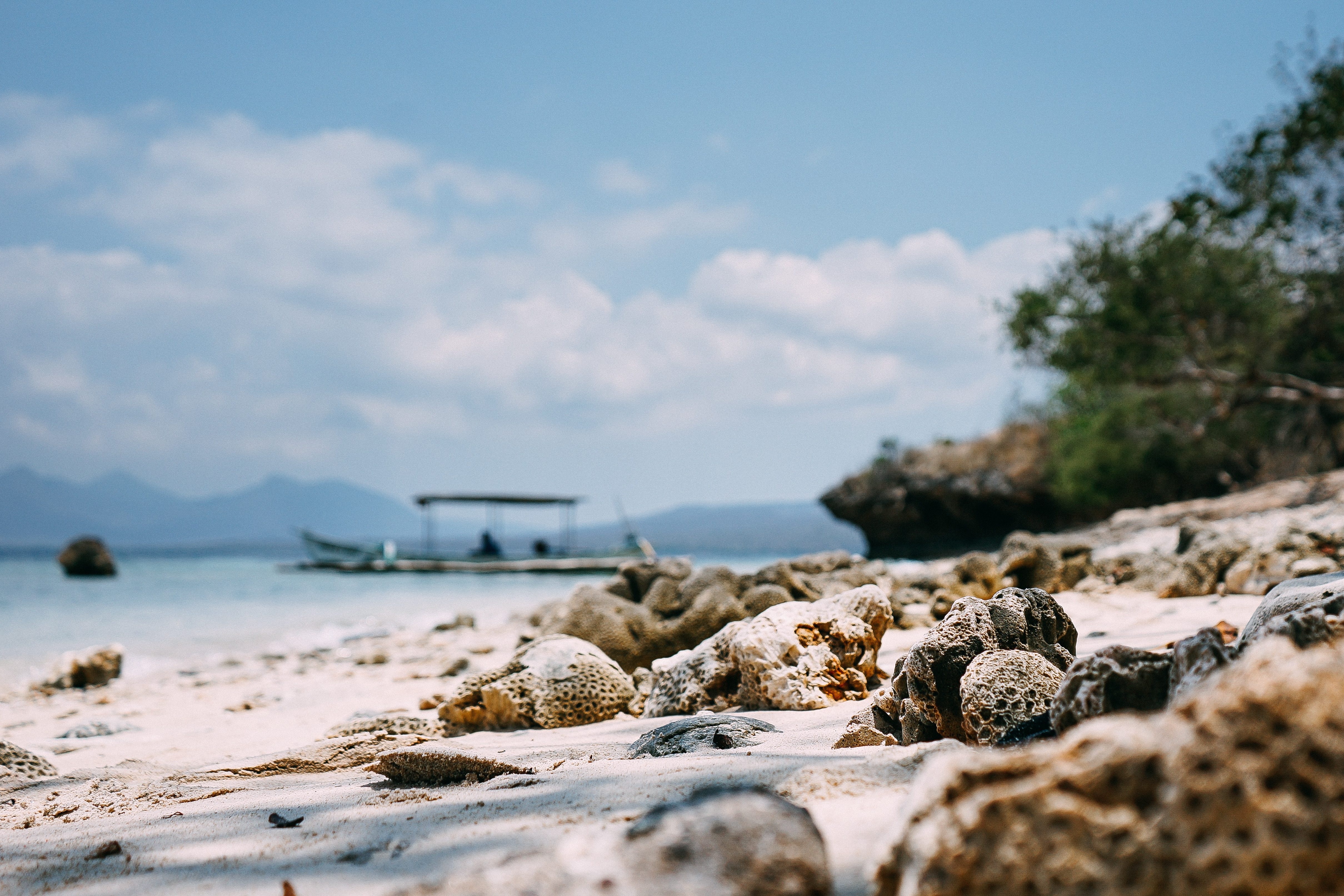 Menhangan Eiland bji Bali