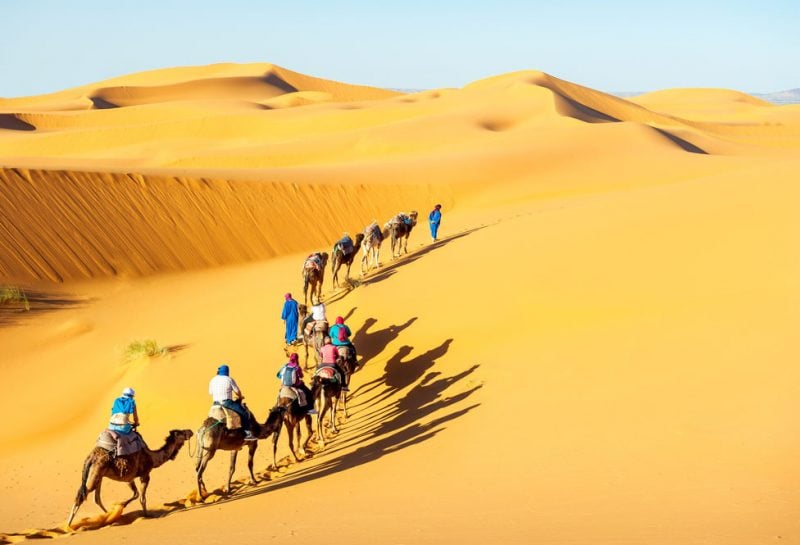 Woestijnsafari in Jaisalmer