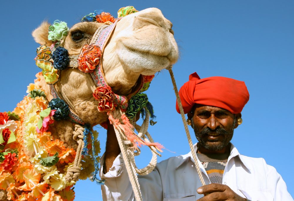 Kamelenfestival Pushkar