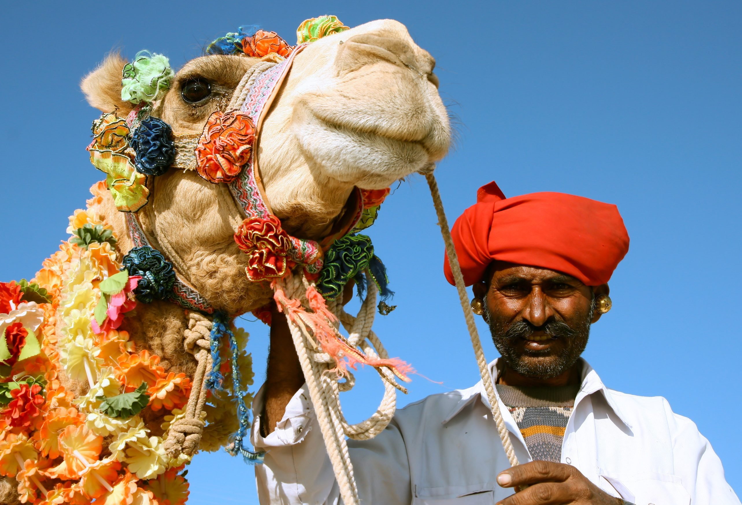 Kamelen festival In Pushkar in India