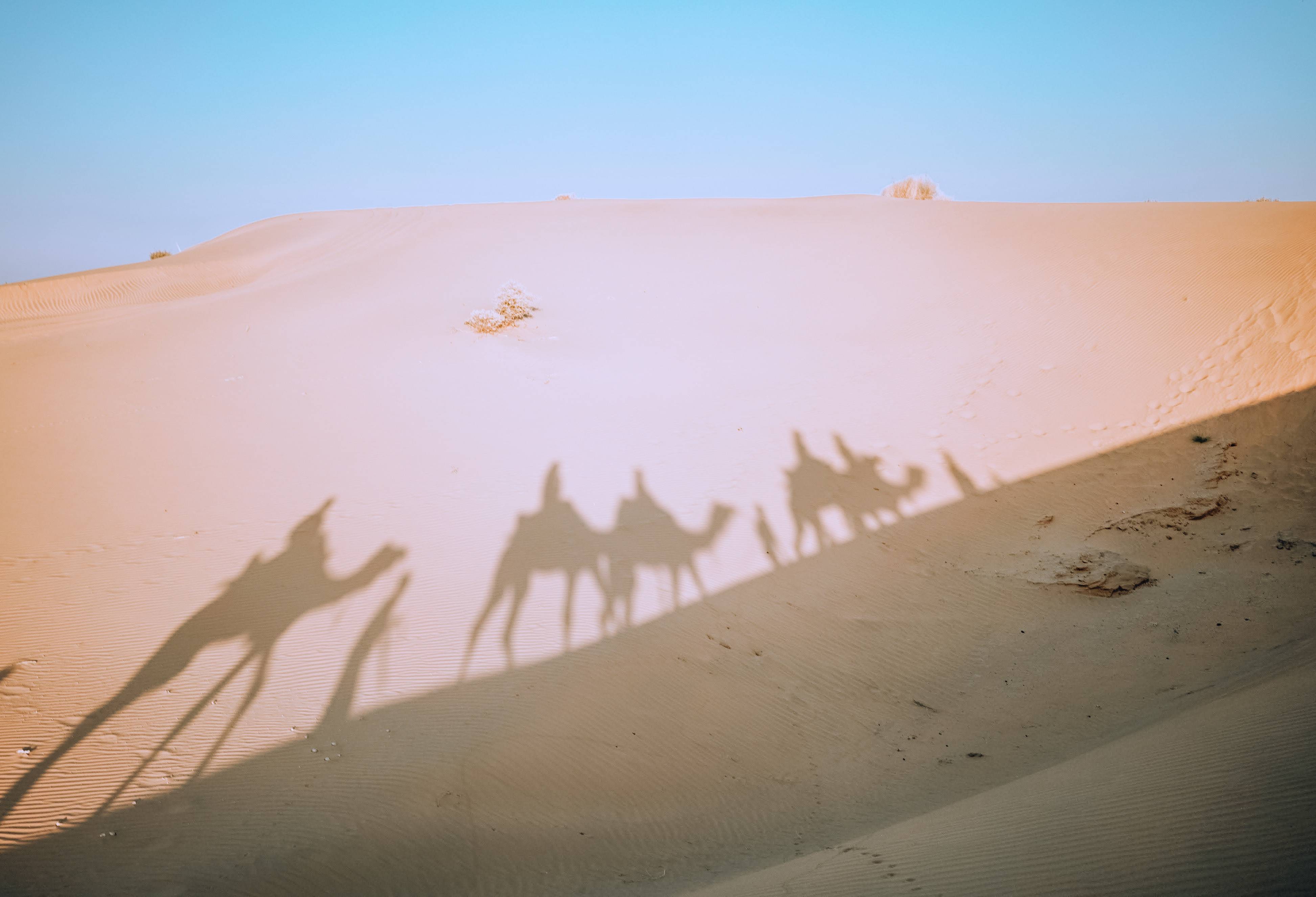 Sam Dunes in Jaisalmer