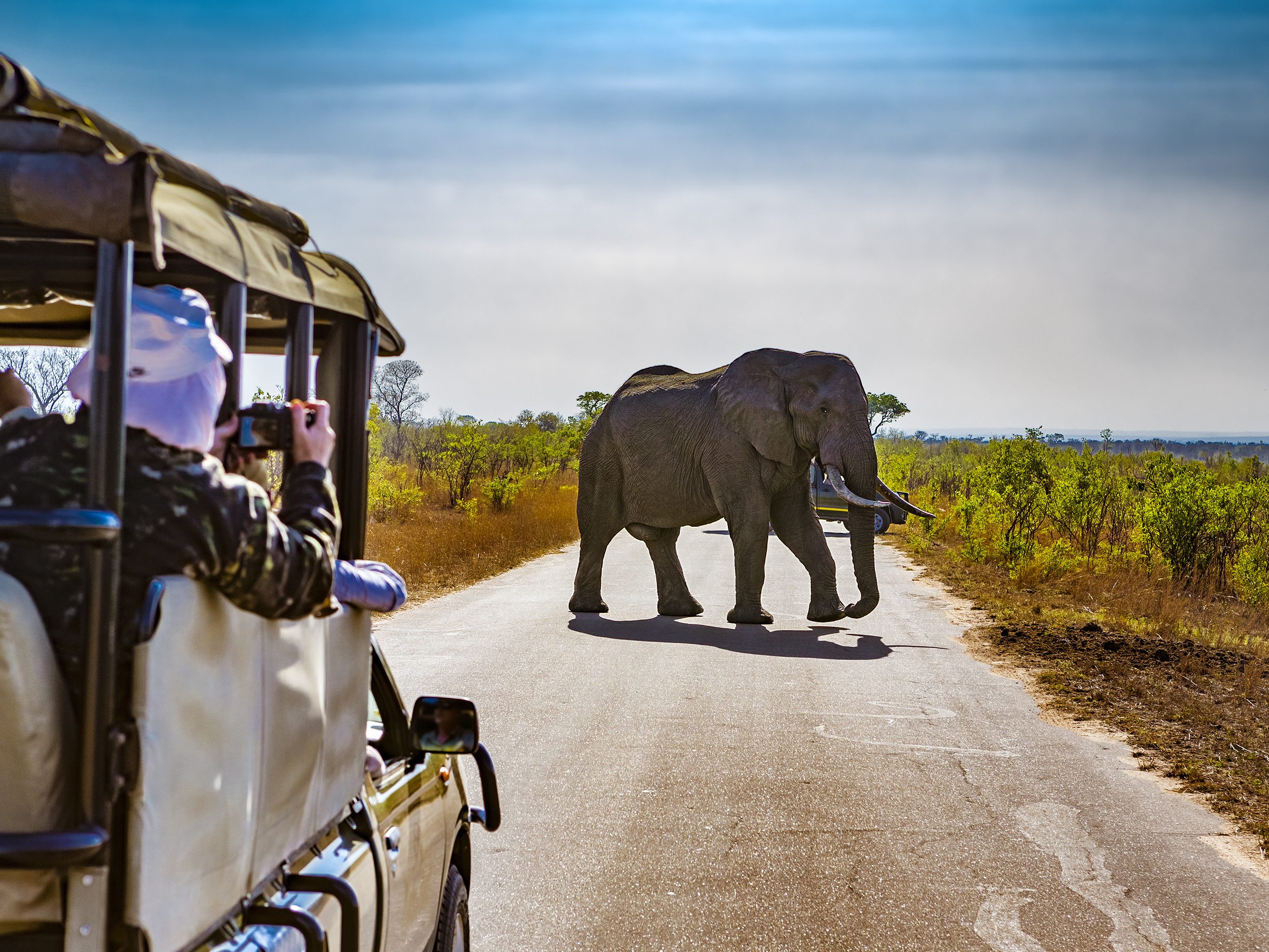 zuid afrika vakantie safari