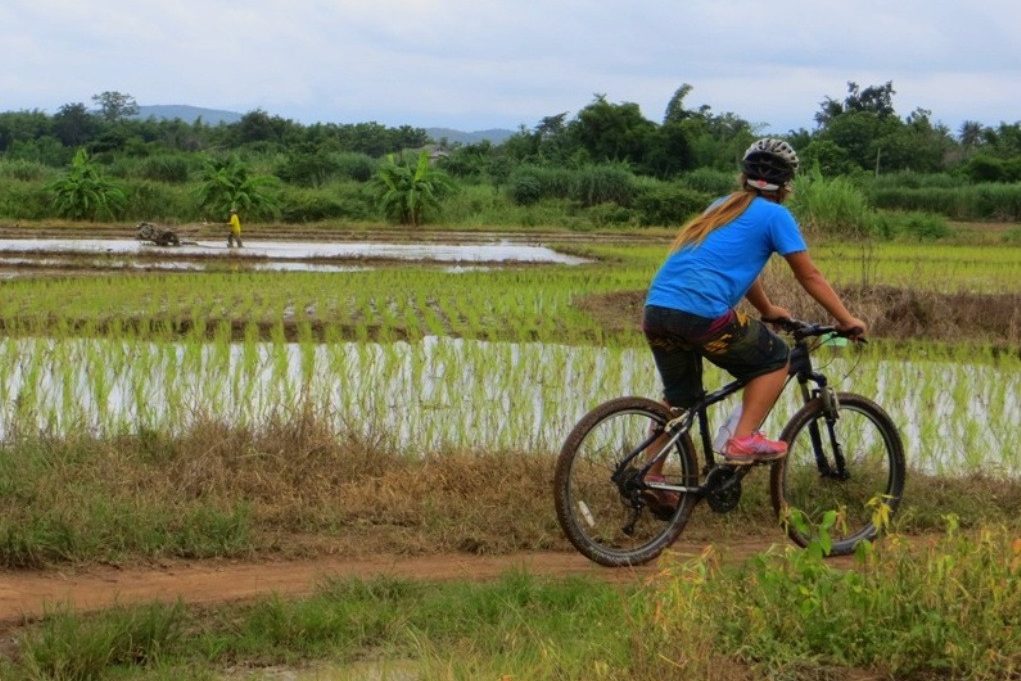 Fietsen in het Sri Lanna National Park in Thailand