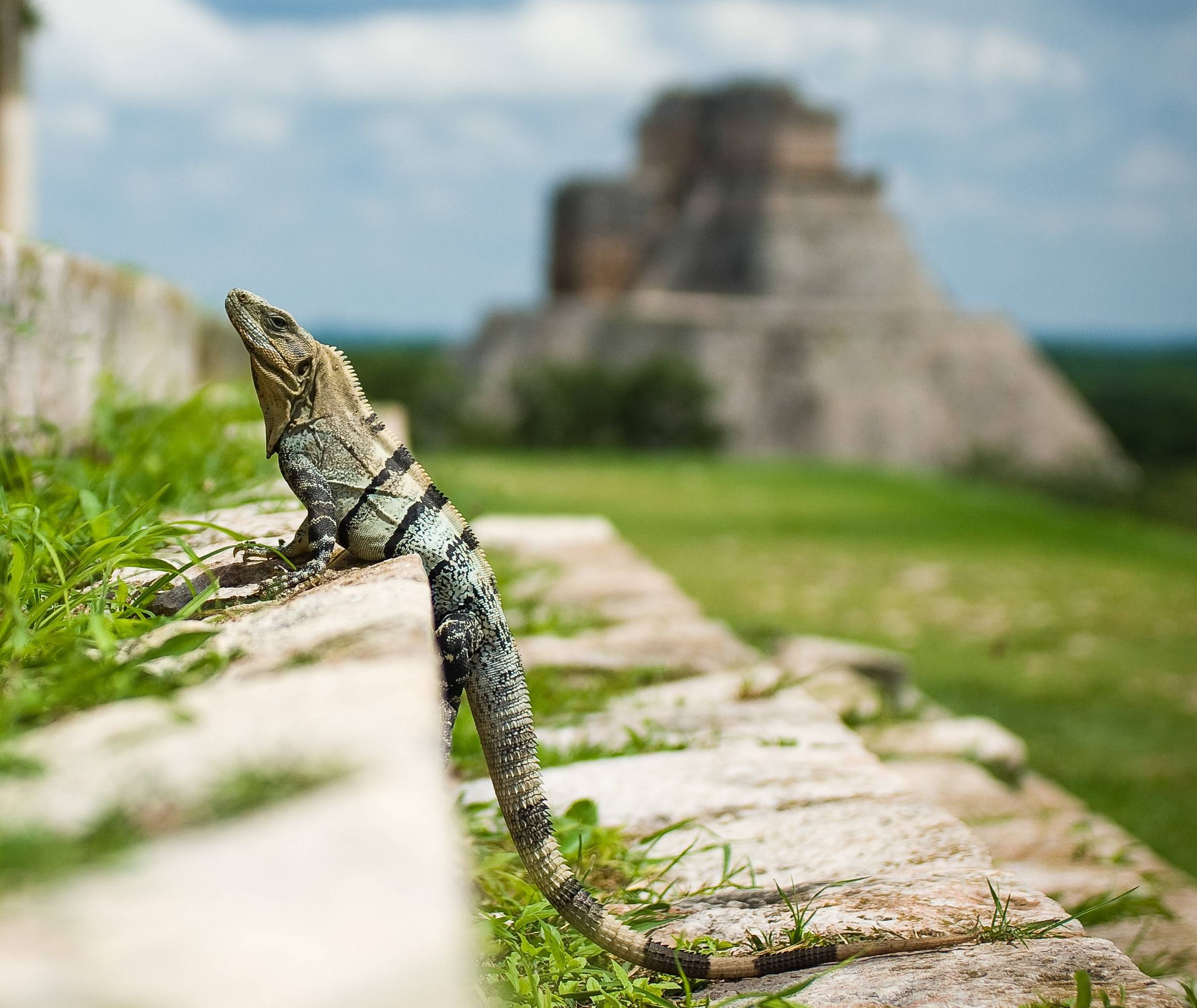 Rondreizen in Mexico