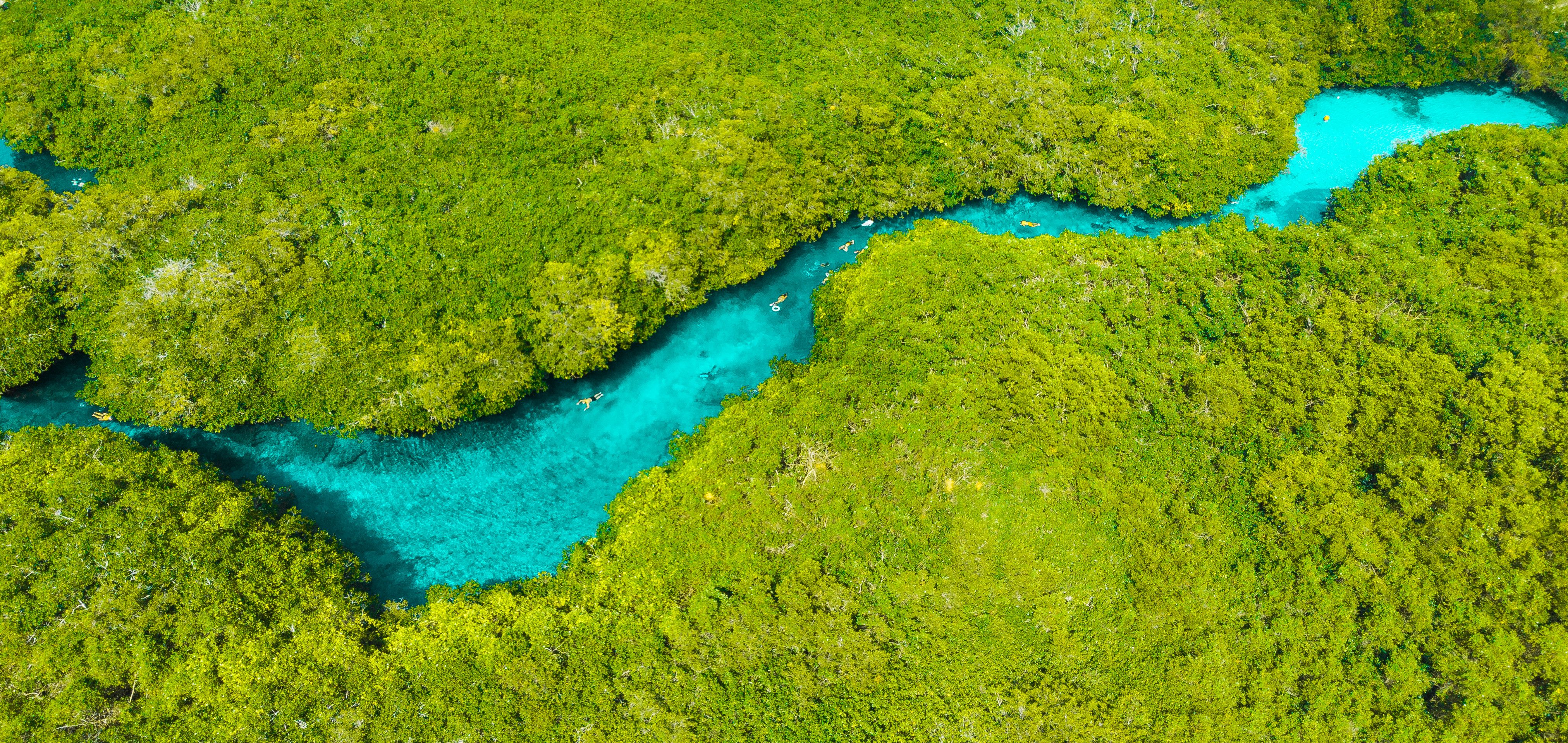 Casa Cenote vlakbij Tulum