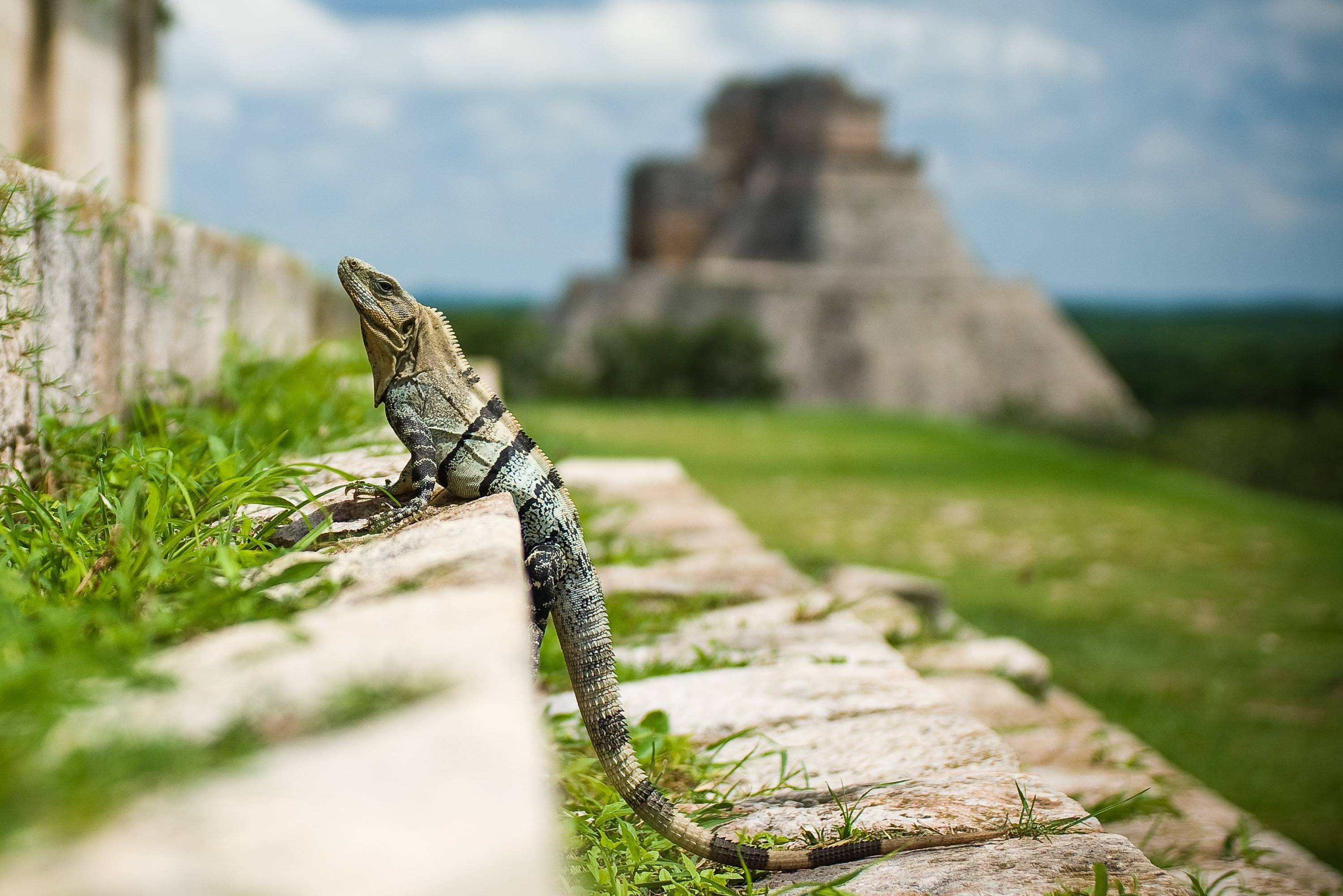 Uxmal Maya stad Yucatan Mexico