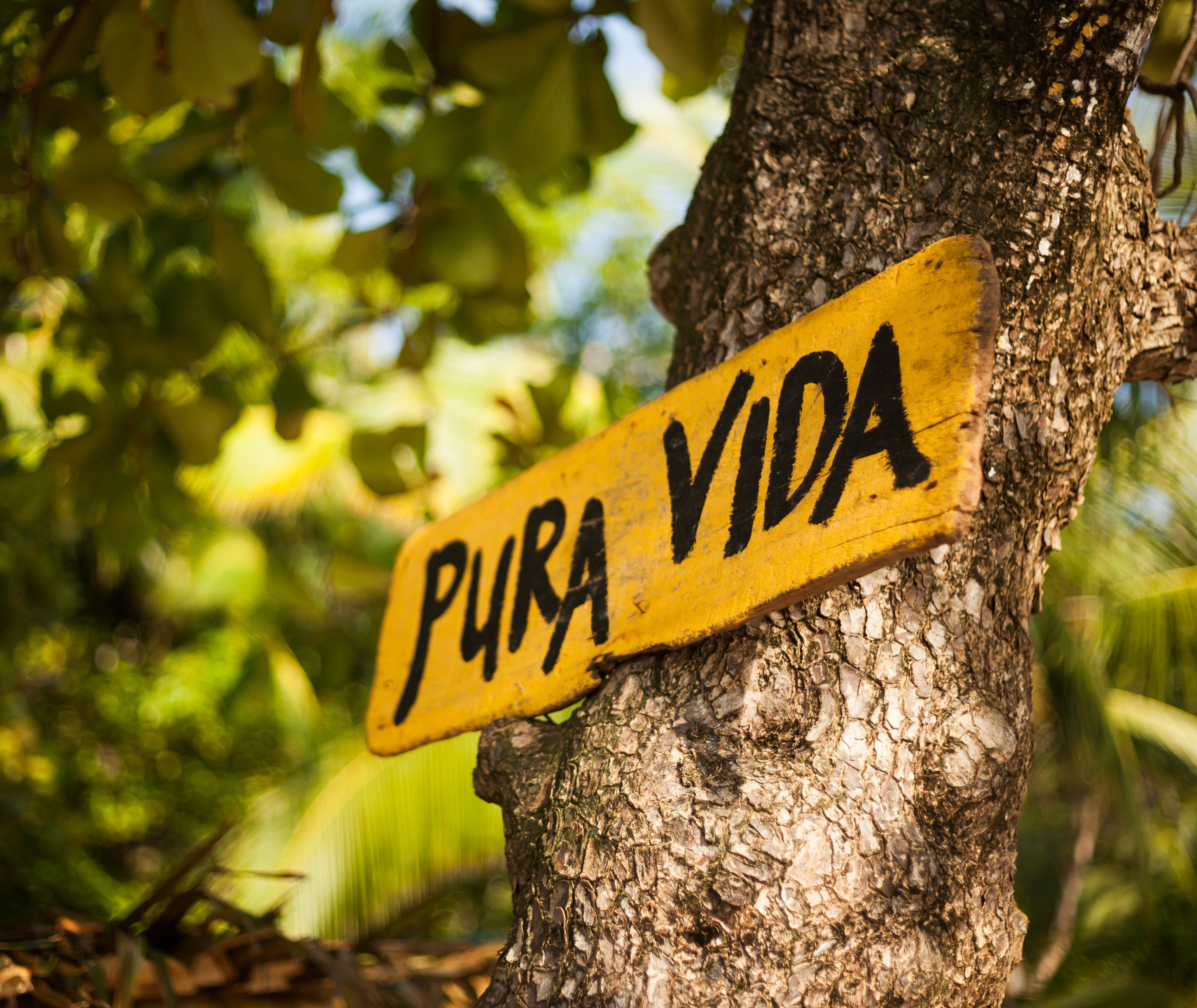 Pura Vida Costa Rica