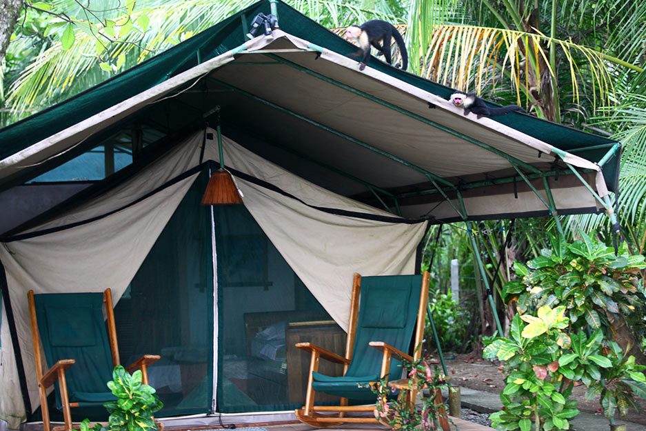 Rafiki Beach Camp in Matapalo in Costa Rica