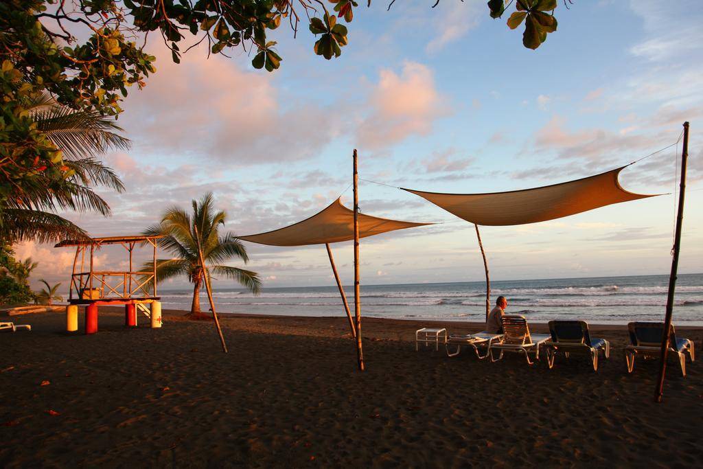 Rafiki Beach Camp in Matapalo in Costa Rica