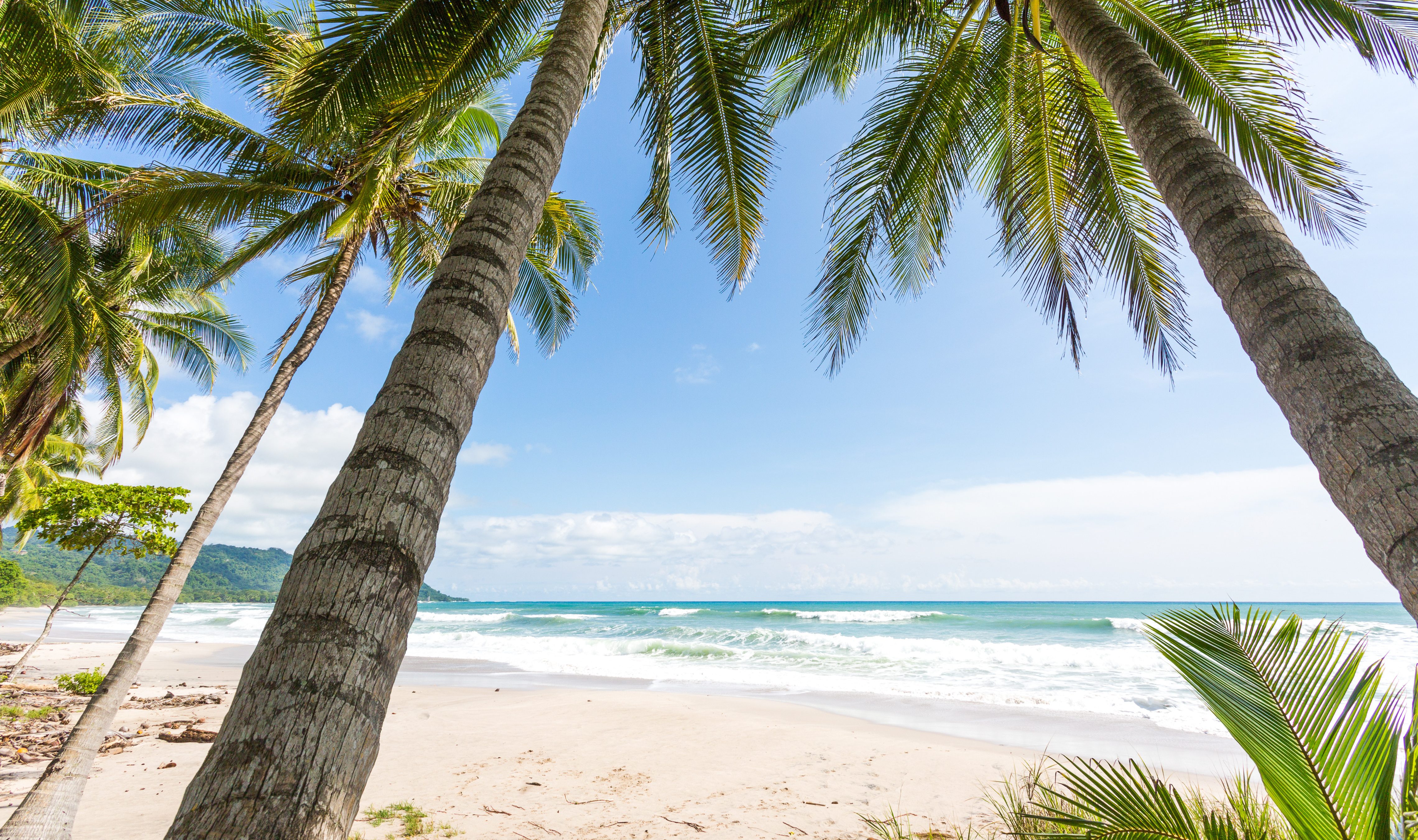 Santa Teresa Costa Rica