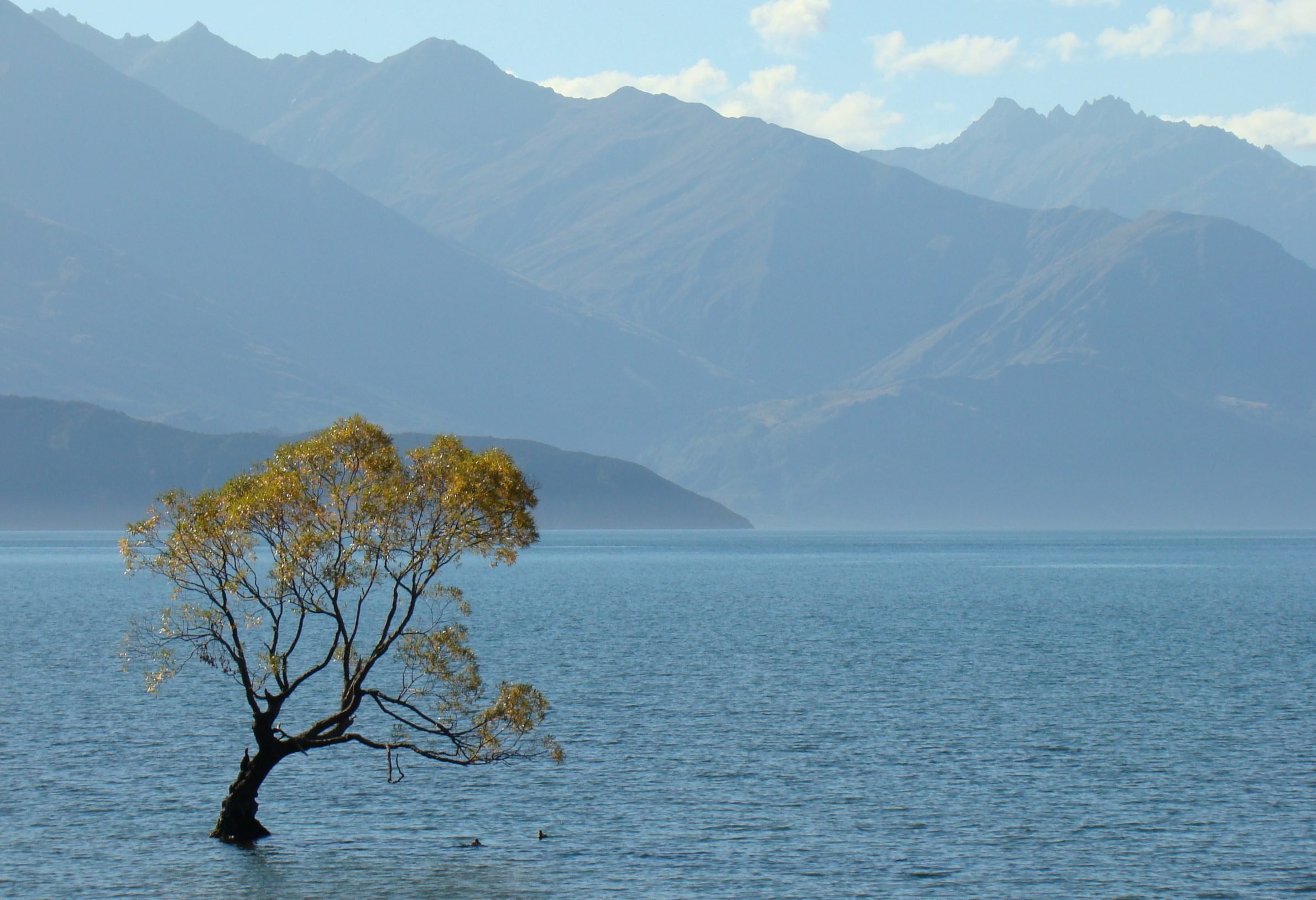 Lake Taupo bij Taupo in Nieuw-Zeeland