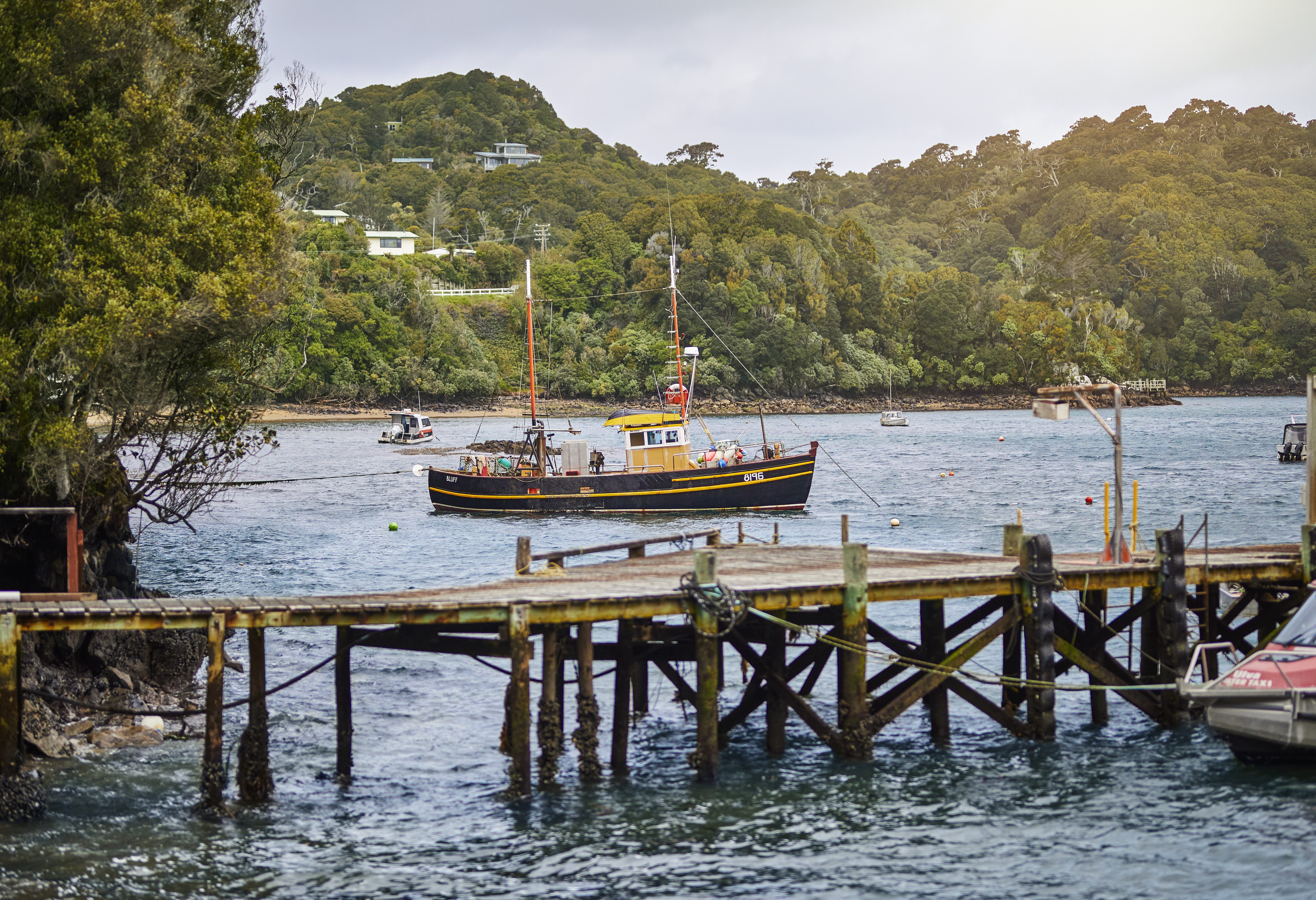 Stewart Island in Nieuw-Zeeland