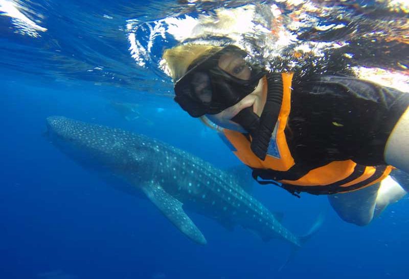 Strandvakantie Isla Holbox Yucatan Mexico