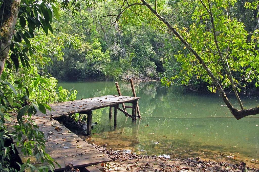 Lacandon jungle Chiapas Mexico
