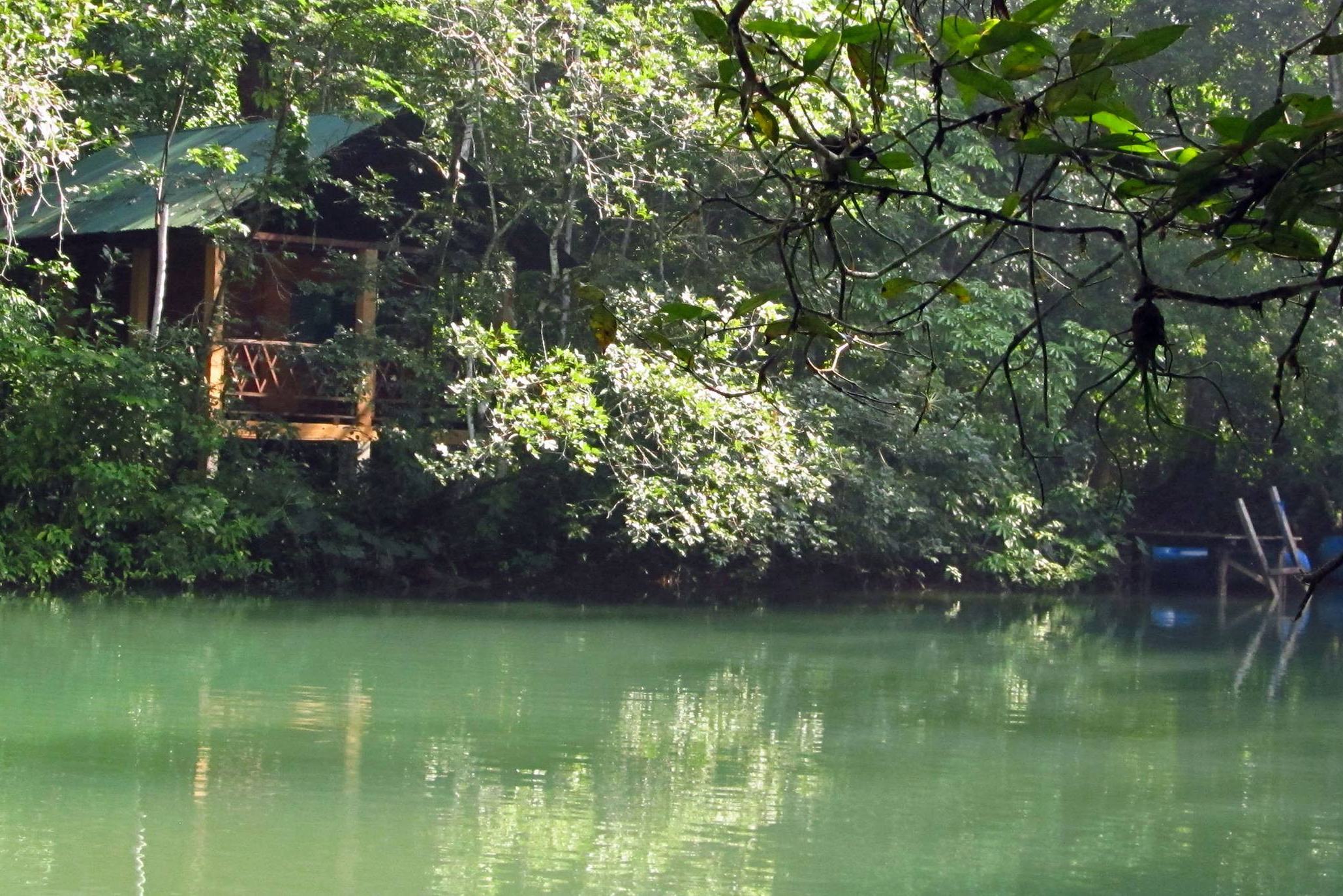 Lacandon jungle Chiapas Mexico