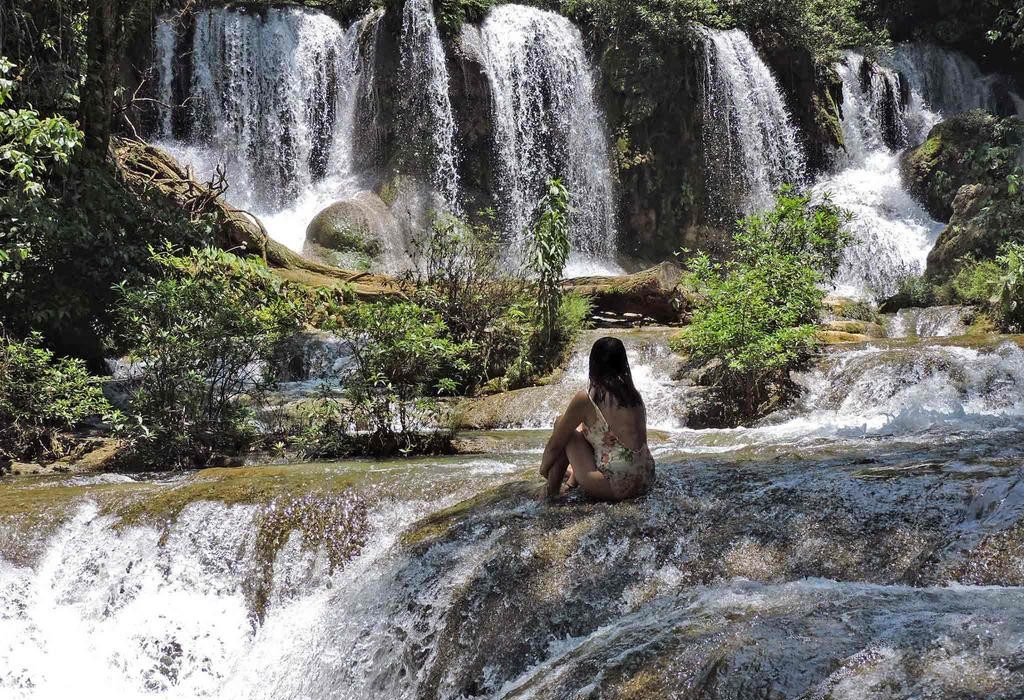 Lacandon jungle Chiapas Mexico