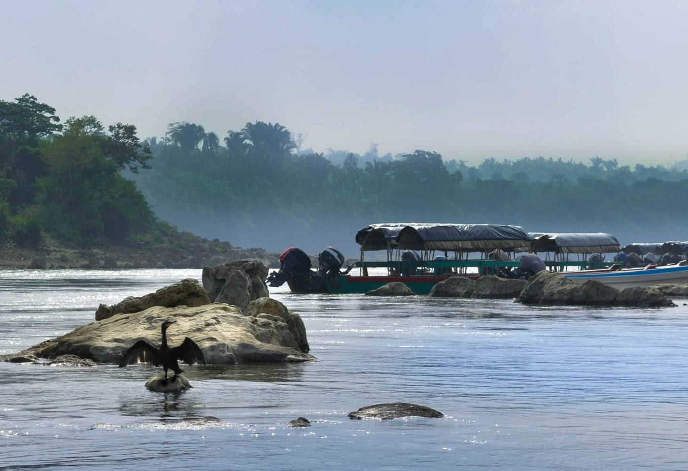 Lacandon jungle Chiapas Mexico