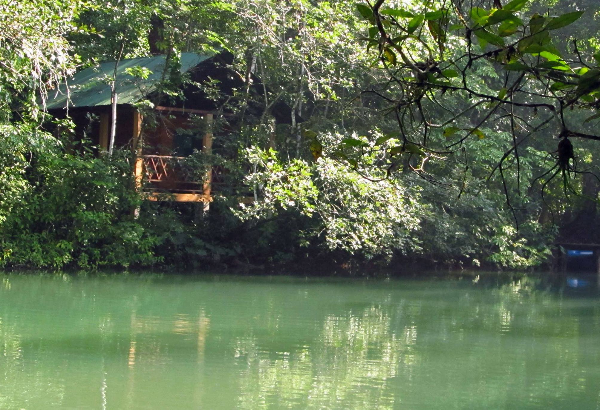 Lacandon jungle Chiapas Mexico