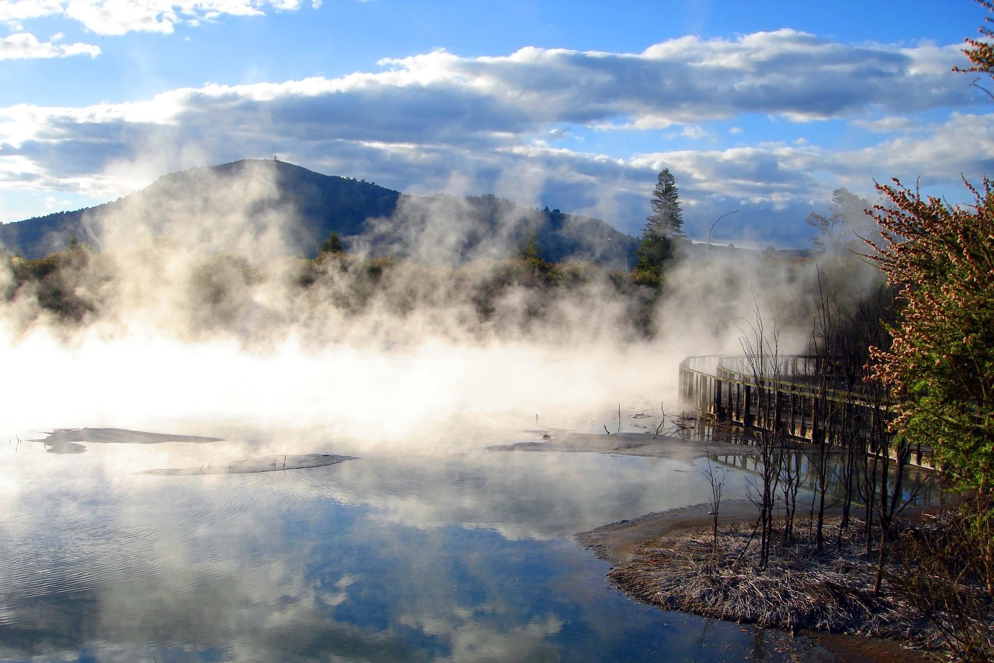 Geothermische activiteit bij Rotorua in Nieuw-Zeeland