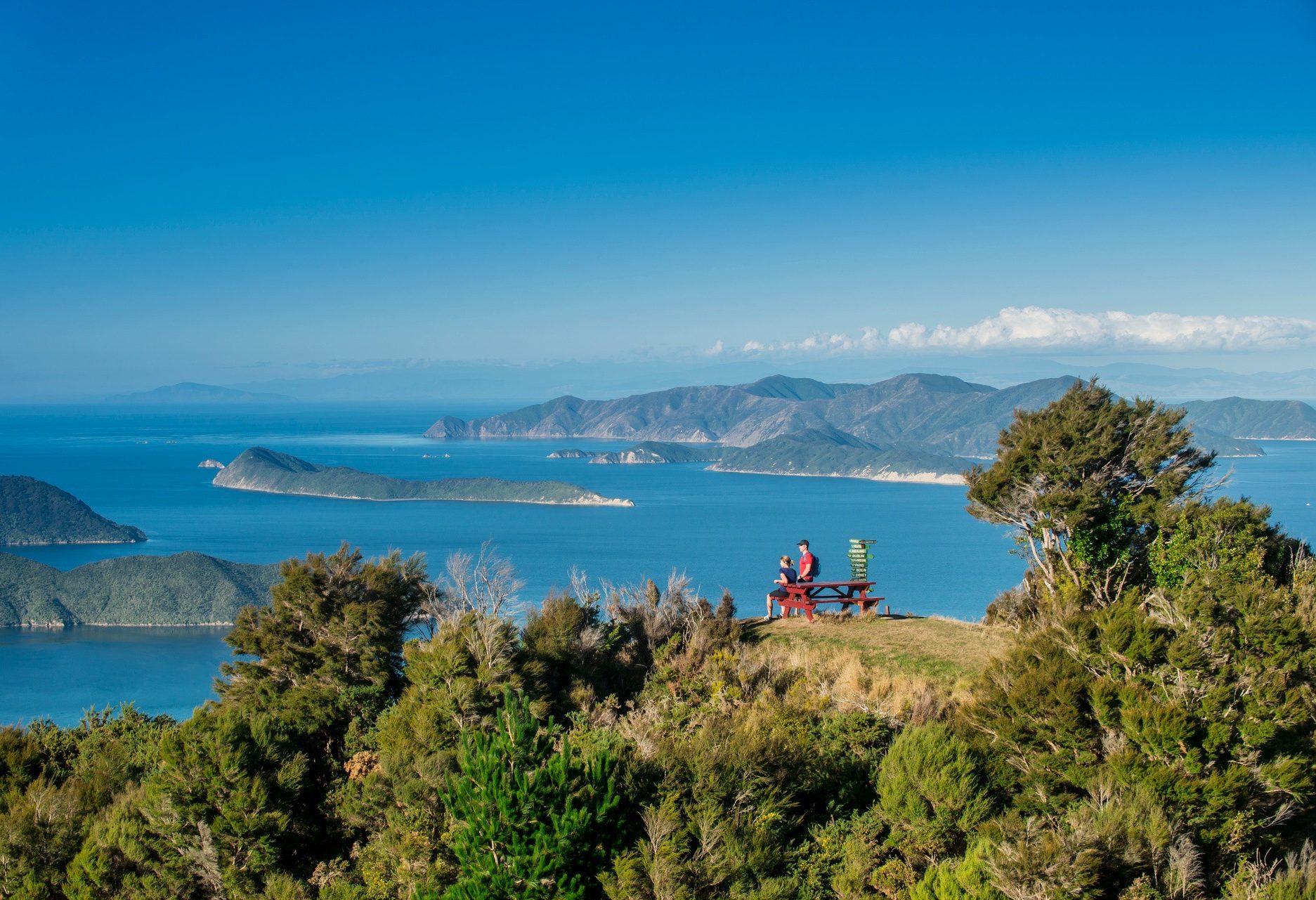 Uitzicht over de Marlborough Sounds in Nieuw-Zeeland