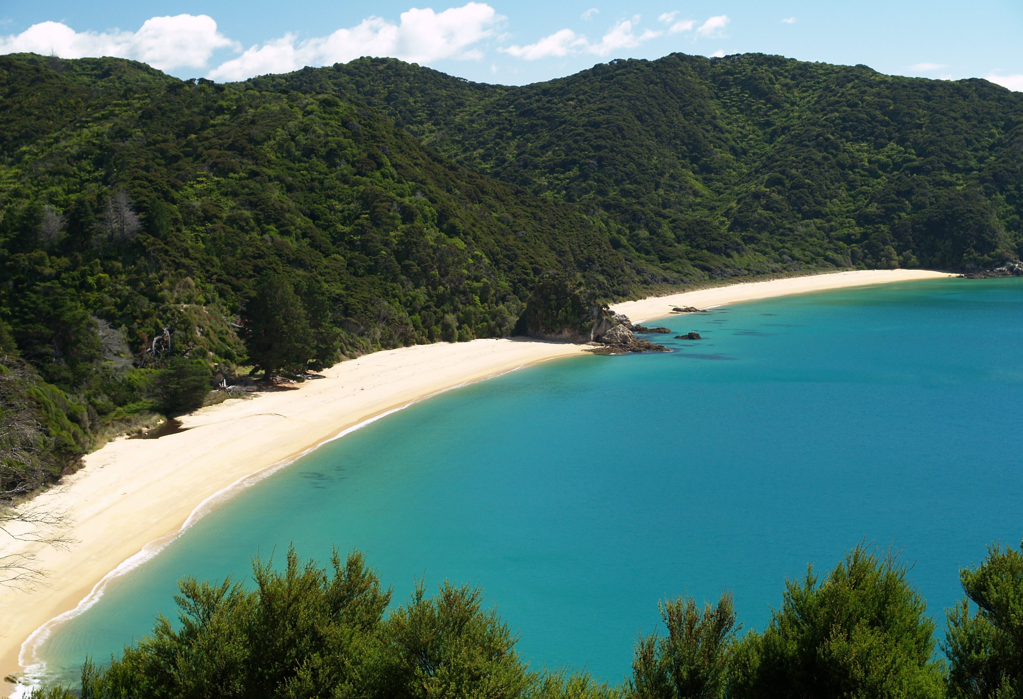 Regenwoud en prachtige stranden komen samen in het Abel Tasman National Park in Nieuw-Zeeland