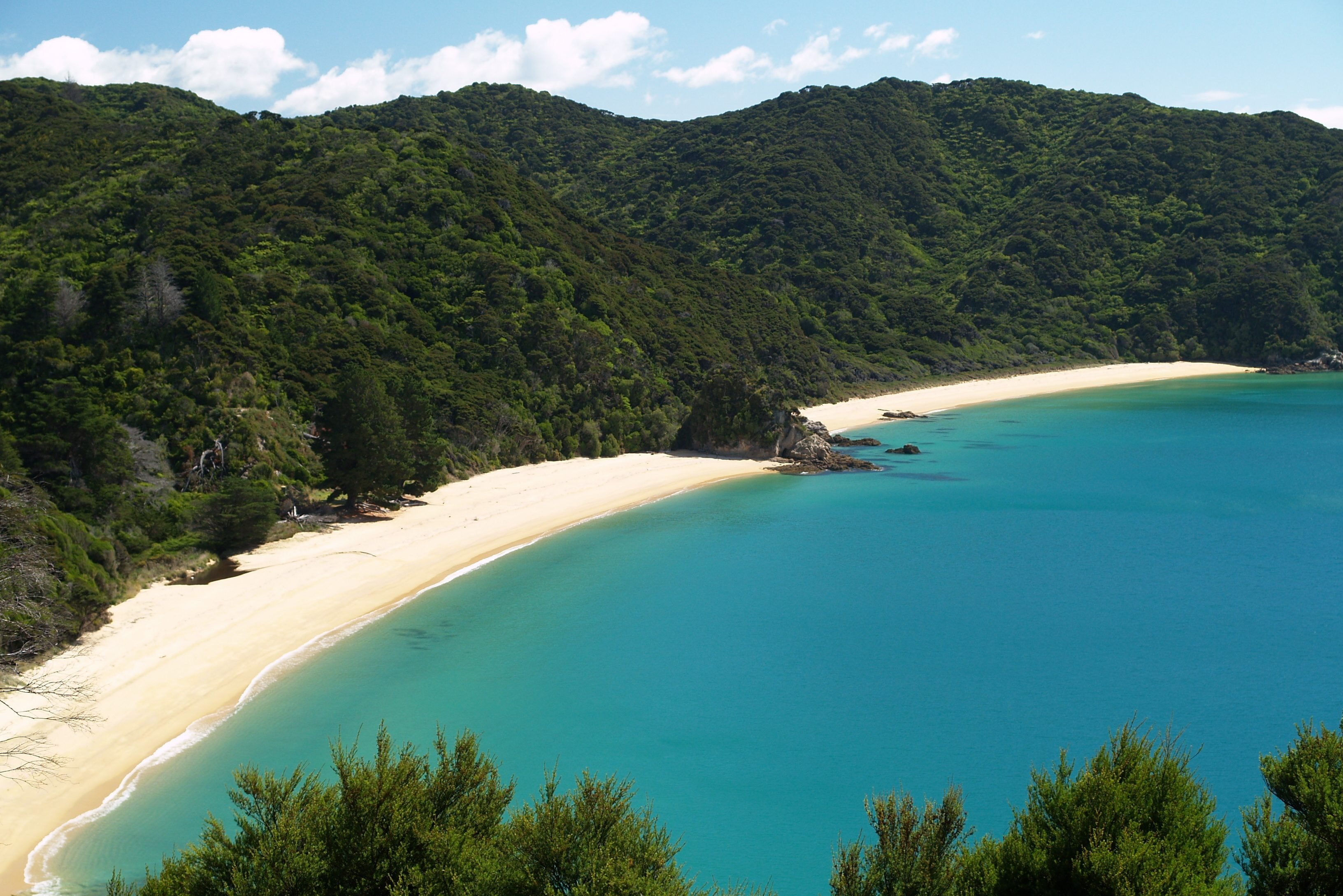 Kust en regenwoud komen samen in het Abel Tasman National Park in Nieuw-Zeeland