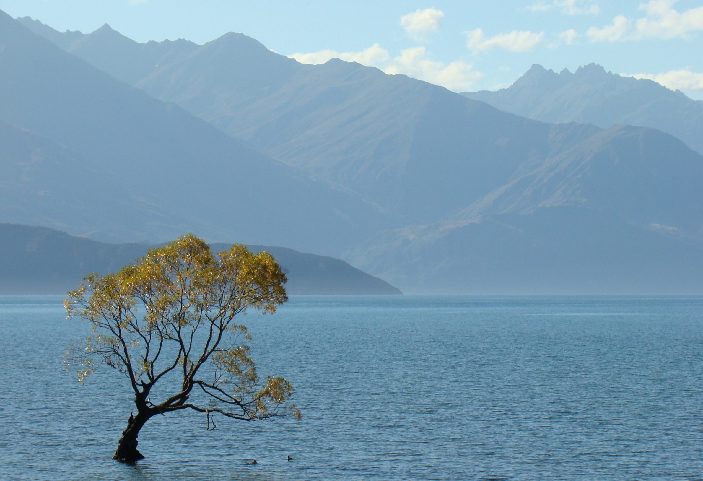 Lake Taupo op het Noordereiland in Nieuw-Zeeland