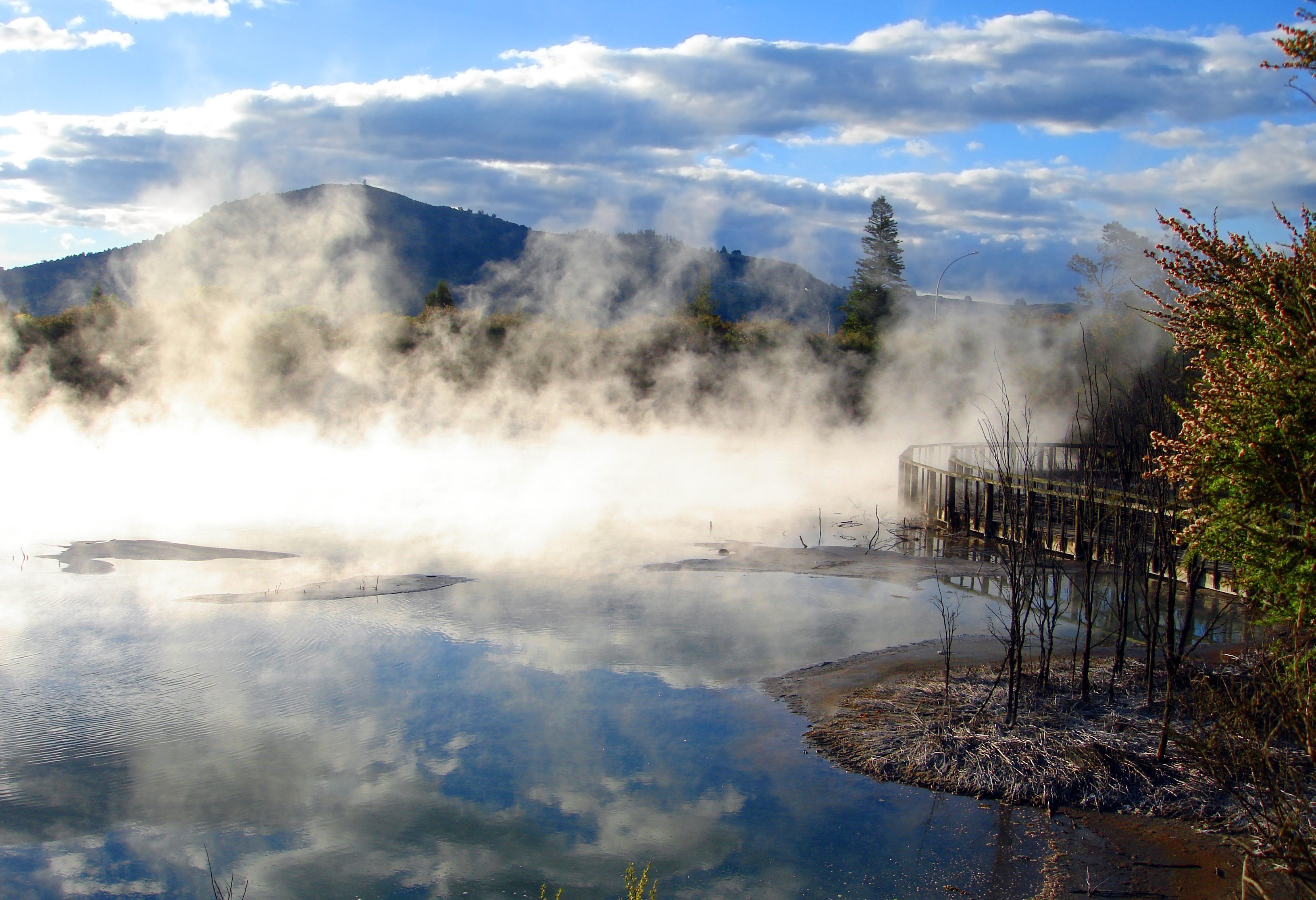 Geothermische activiteit bij Rotorua in Nieuw-Zeeland