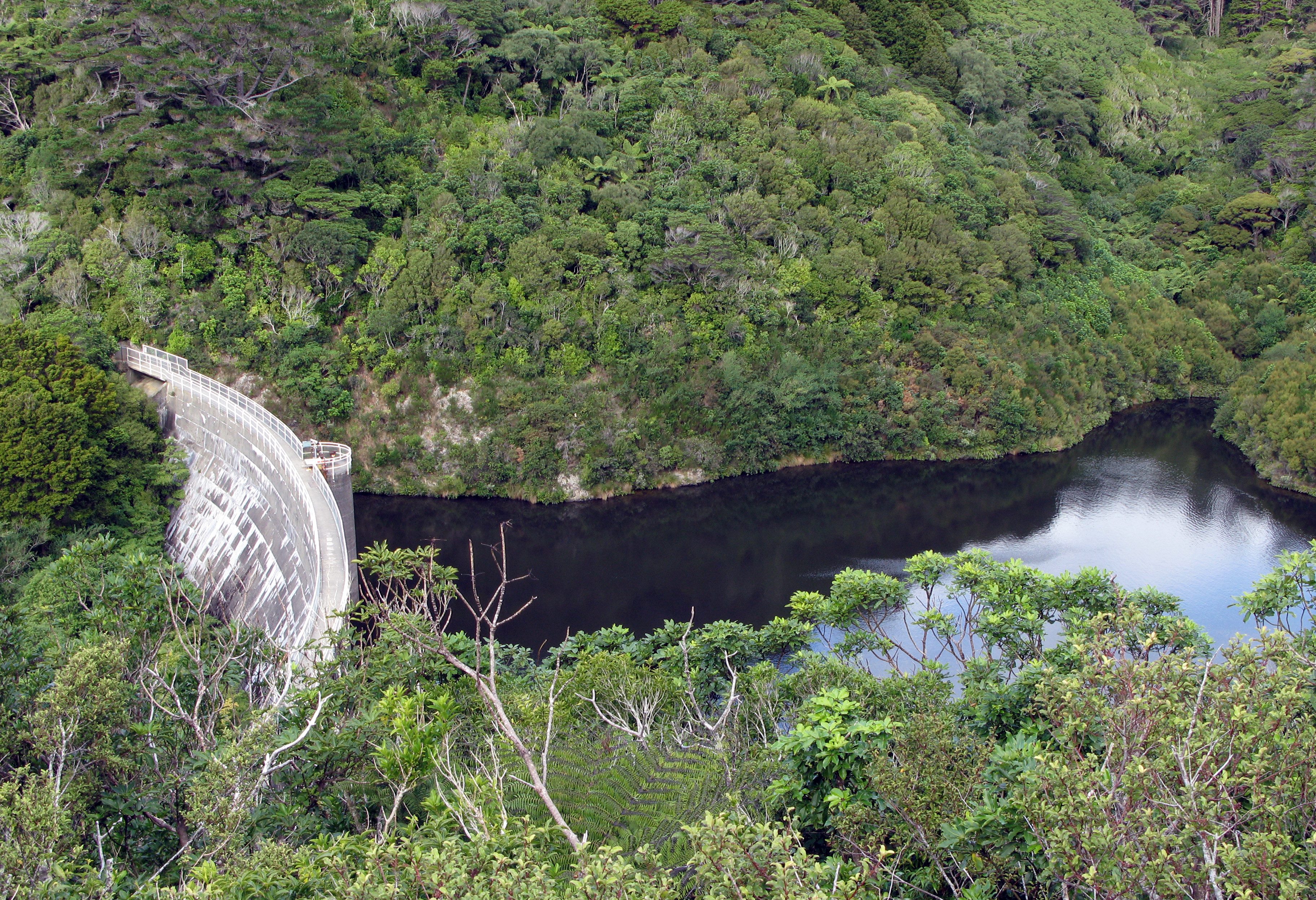 Zealandia aan de rand van Wellington in Nieuw-Zeeland