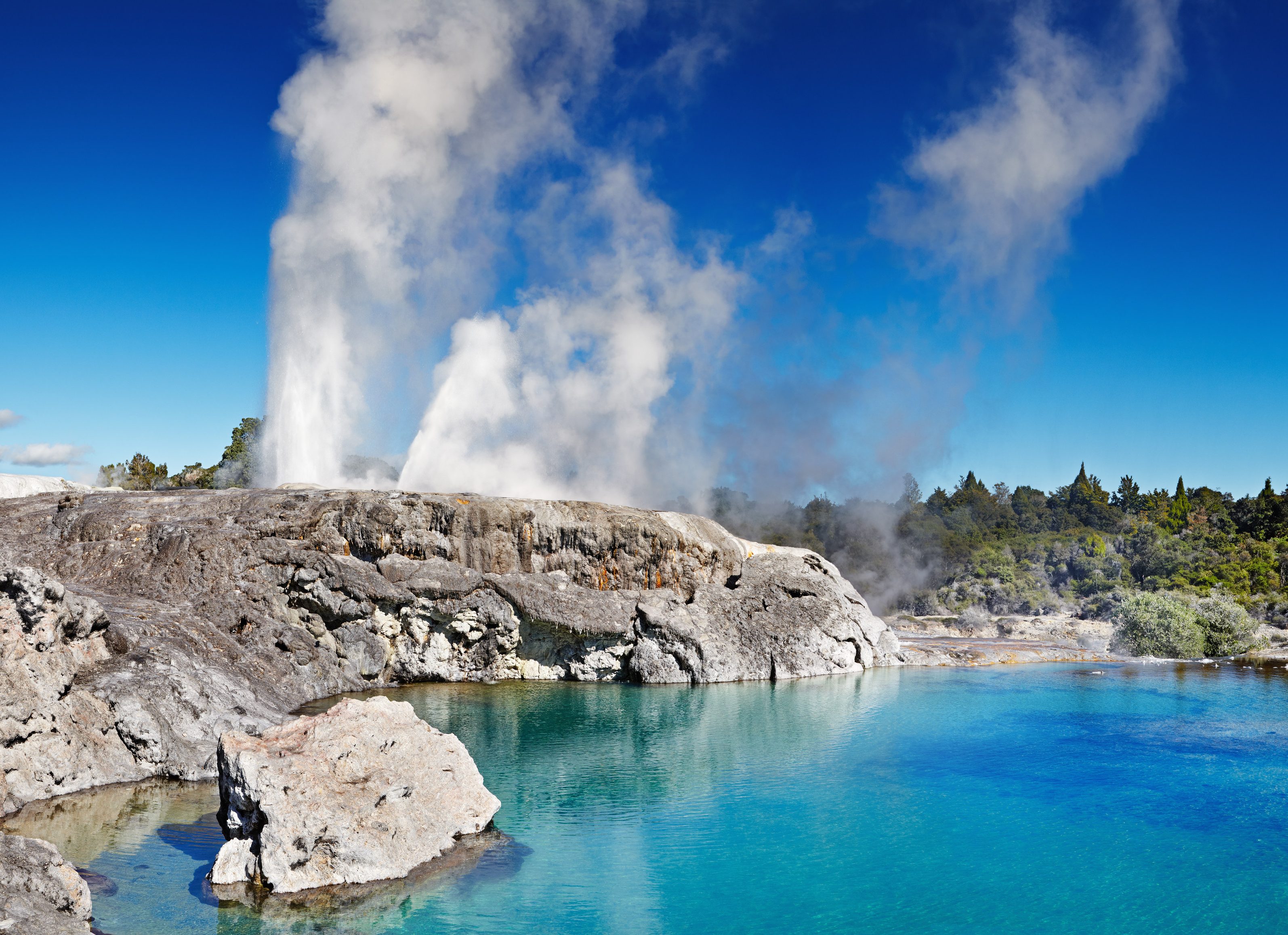 Whakarewarewa Thermal Park nabij Rotorua in Nieuw-Zeeland