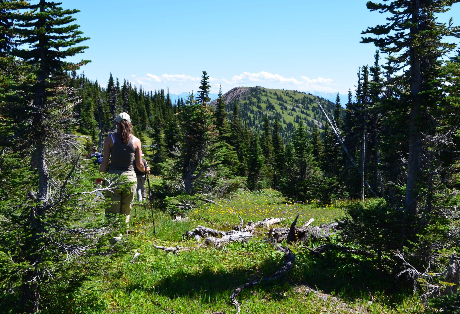 canada-likely-the-bear-whisperer-cariboo-mountains-3