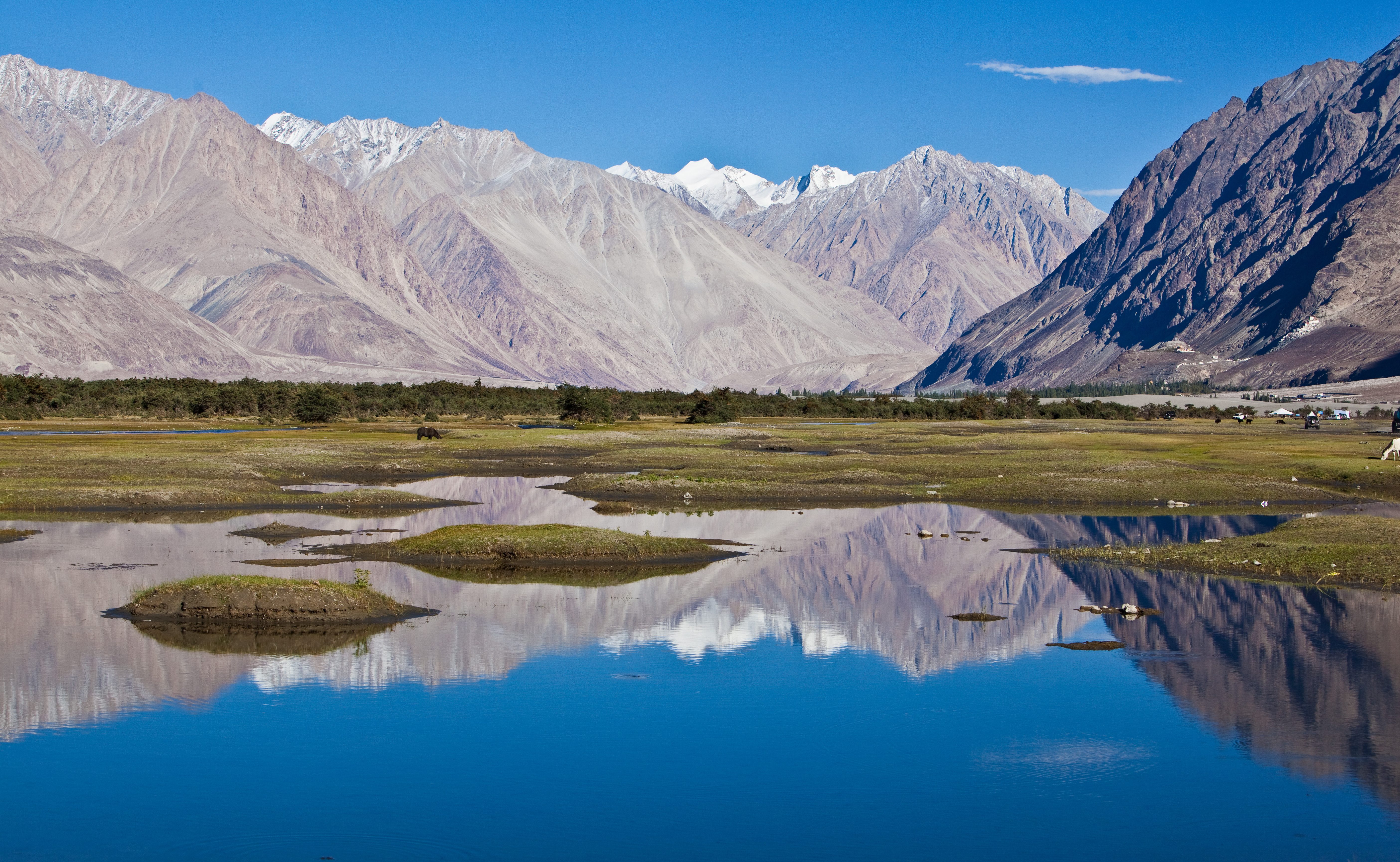 Nubra Vallei Ladakh India