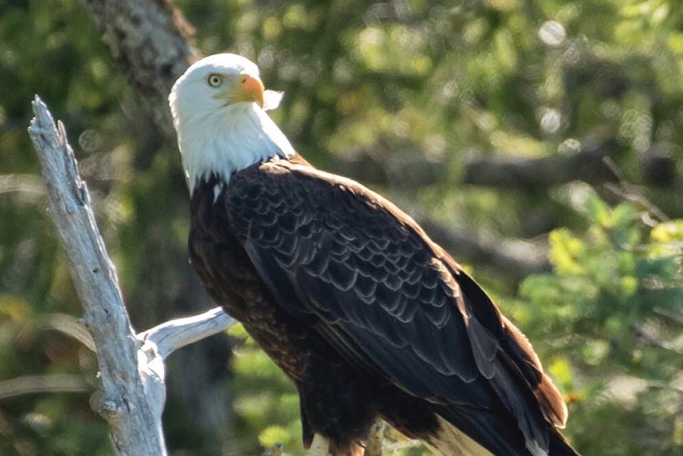 canada-klahoose-wilderness-resort-zee-arend