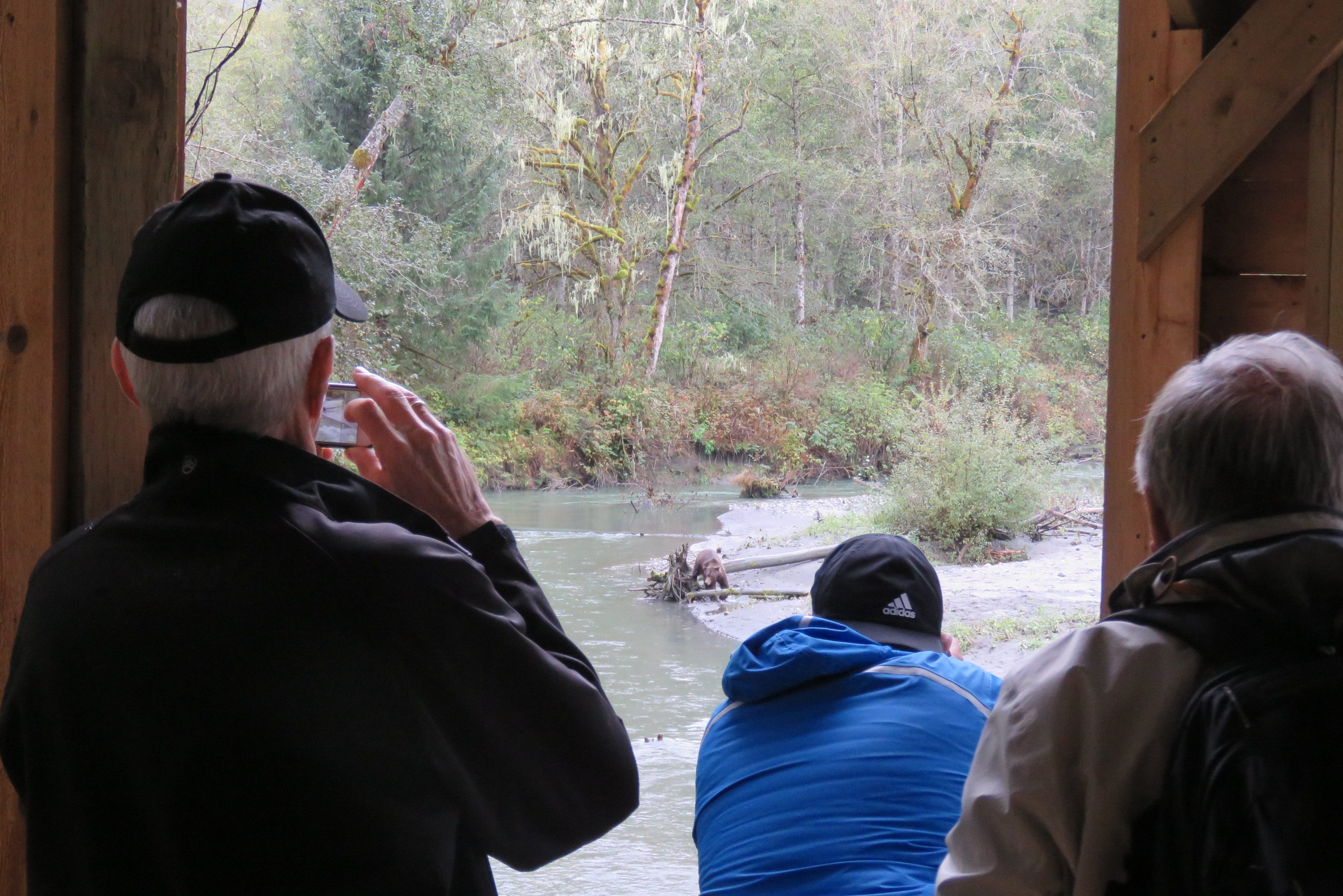canada-klahoose-wilderness-resort-grizzly-beer-tour-viewing-platform