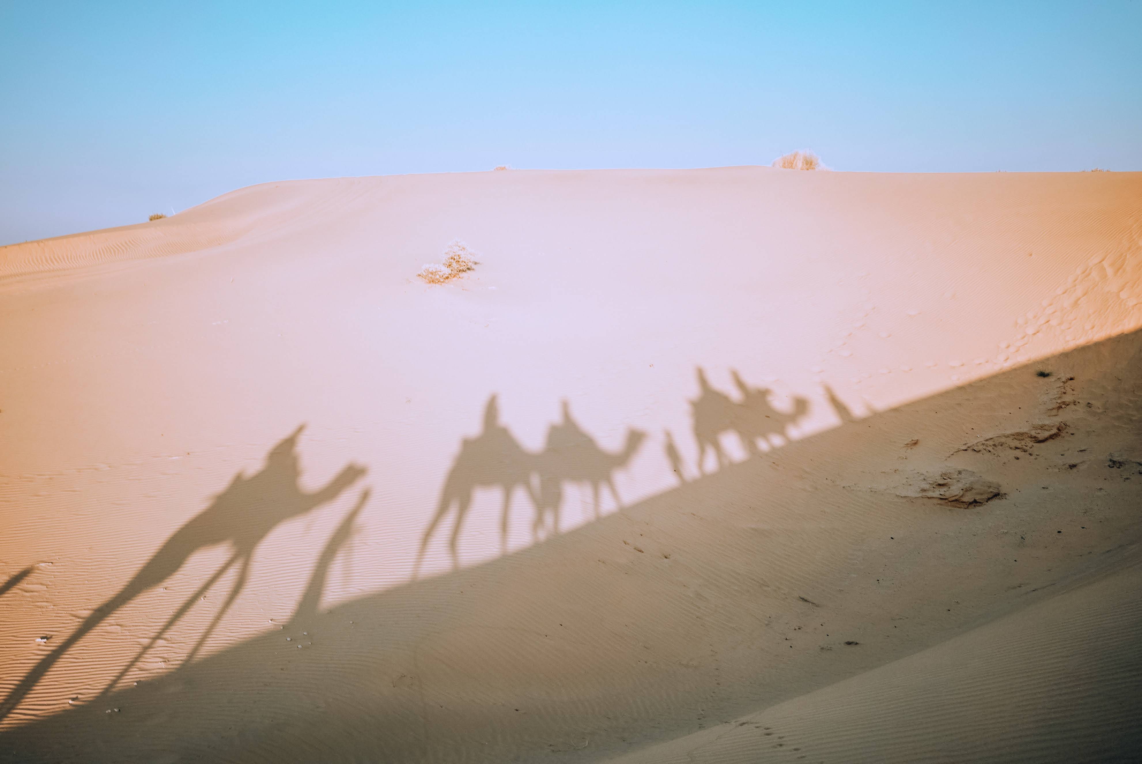 Jaisalmer