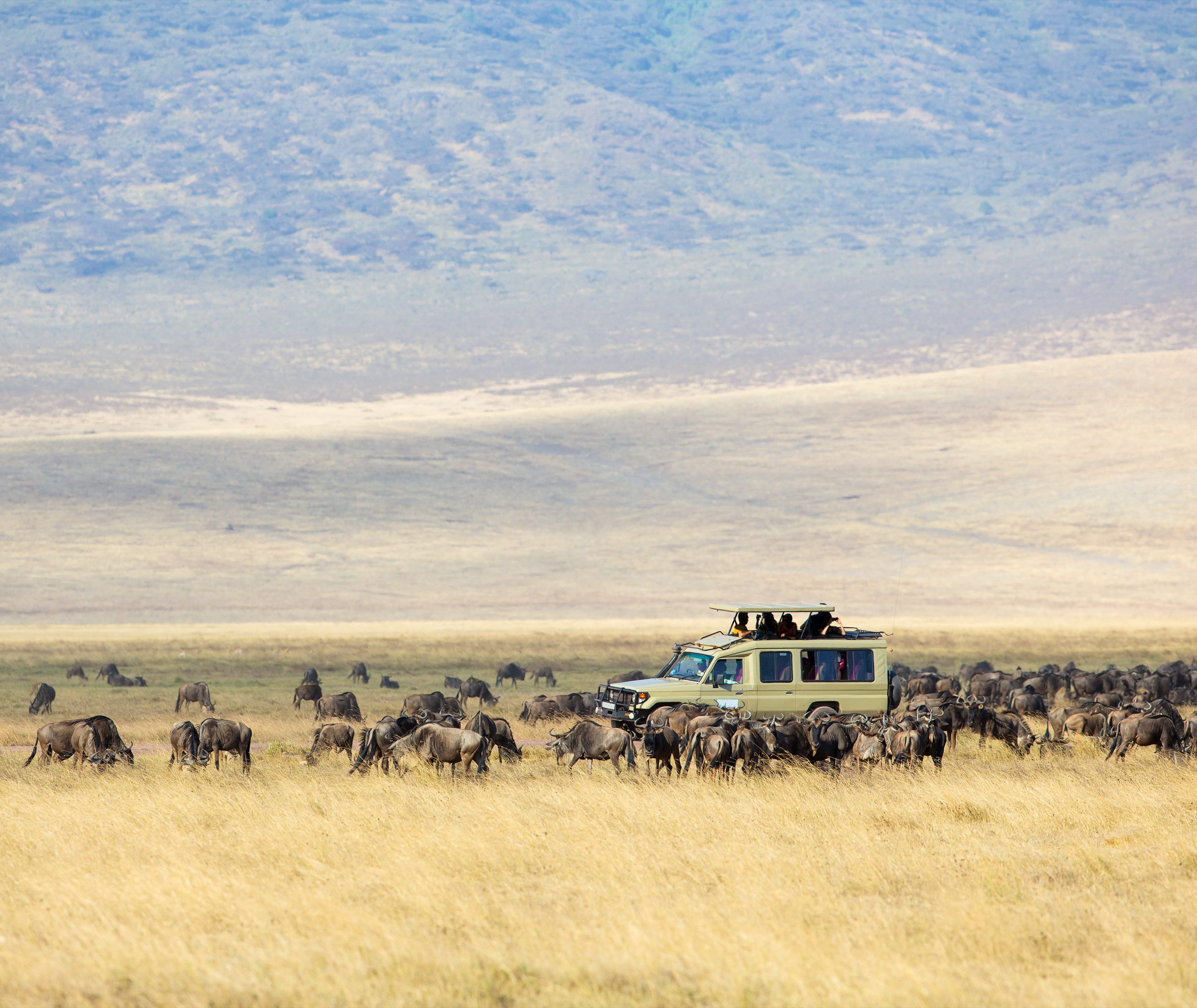 Ngorongoro krater Tanzania