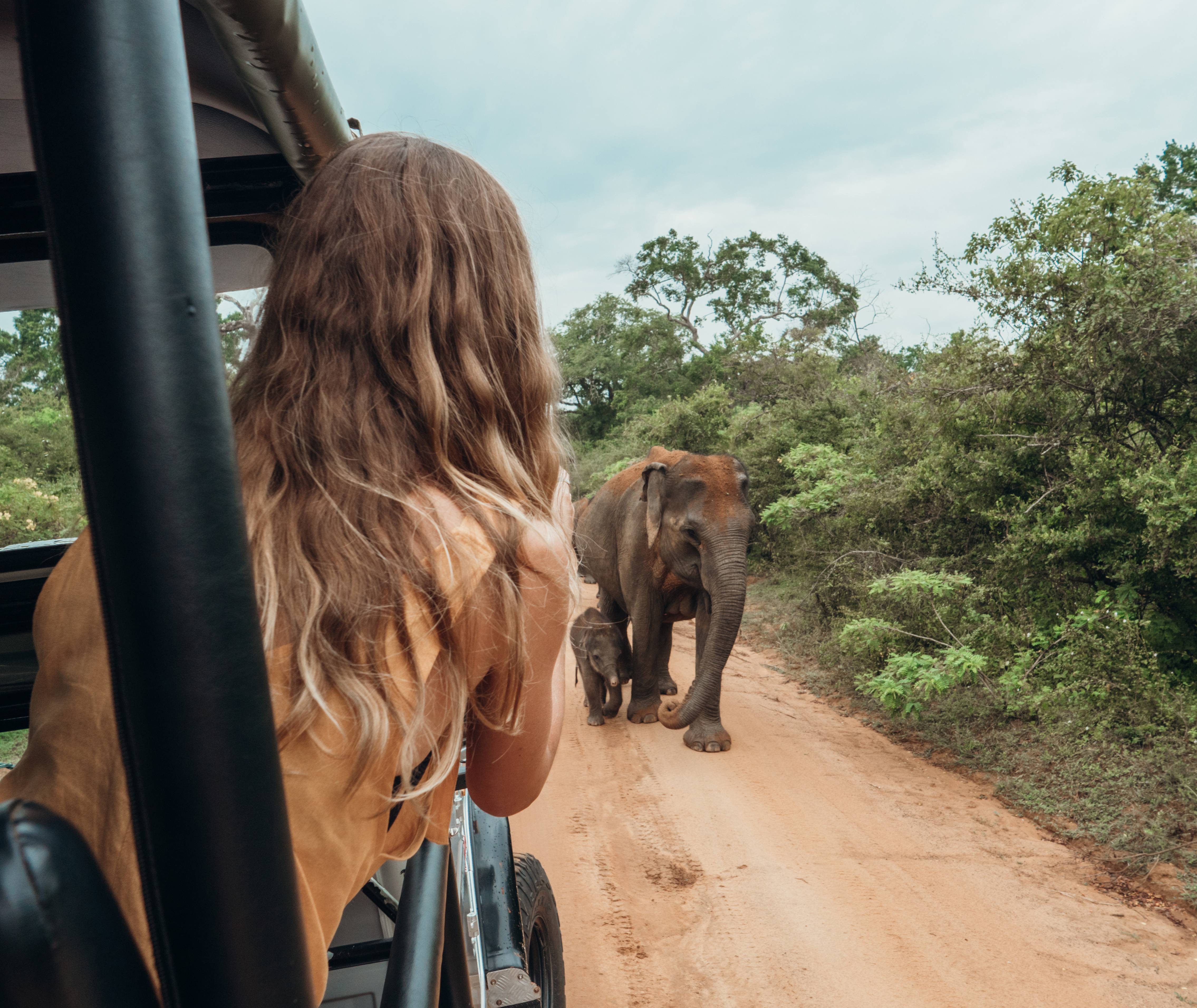 Een moeder met haar babyolifantje in Zuid-Afrika