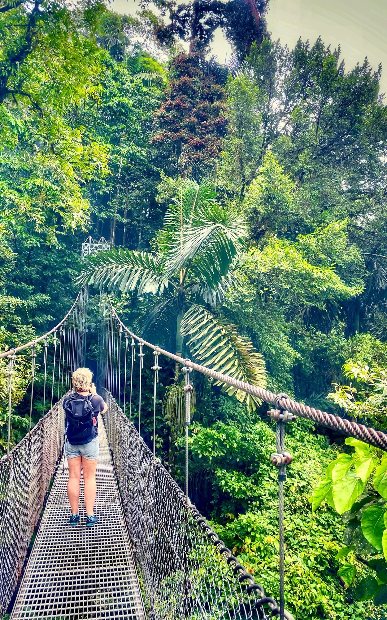 Foto's maken op de hangbrug in Arenal, Costa Rica
