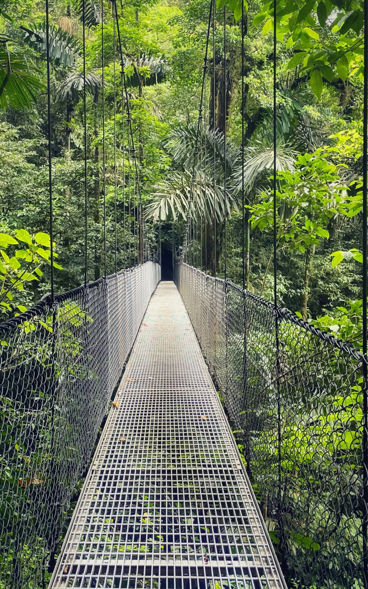 Een van de hangbruggen in Arenal, Costa Rica