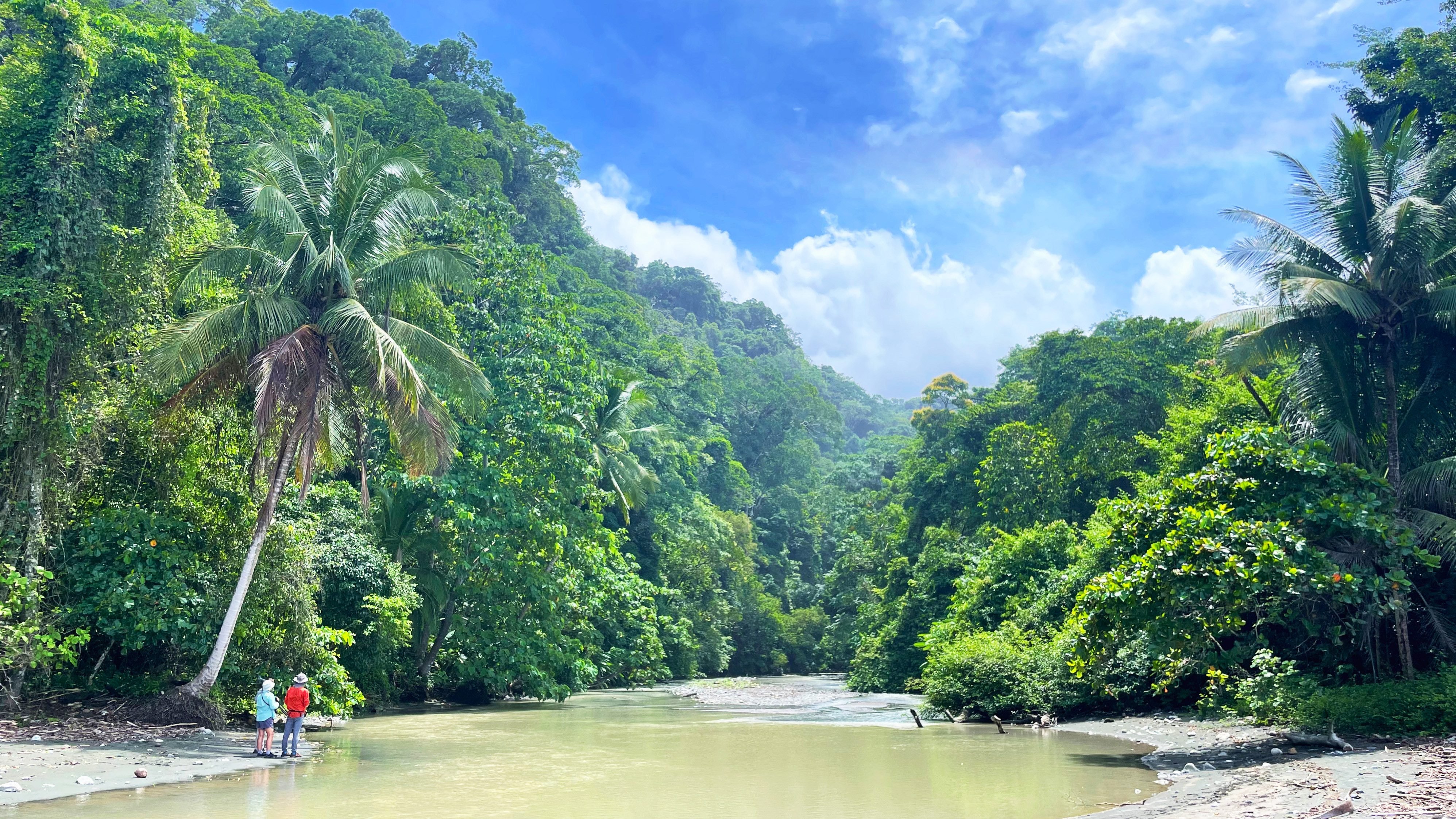 Maak een jungletrekking met gids in Corcovado, Costa Rica