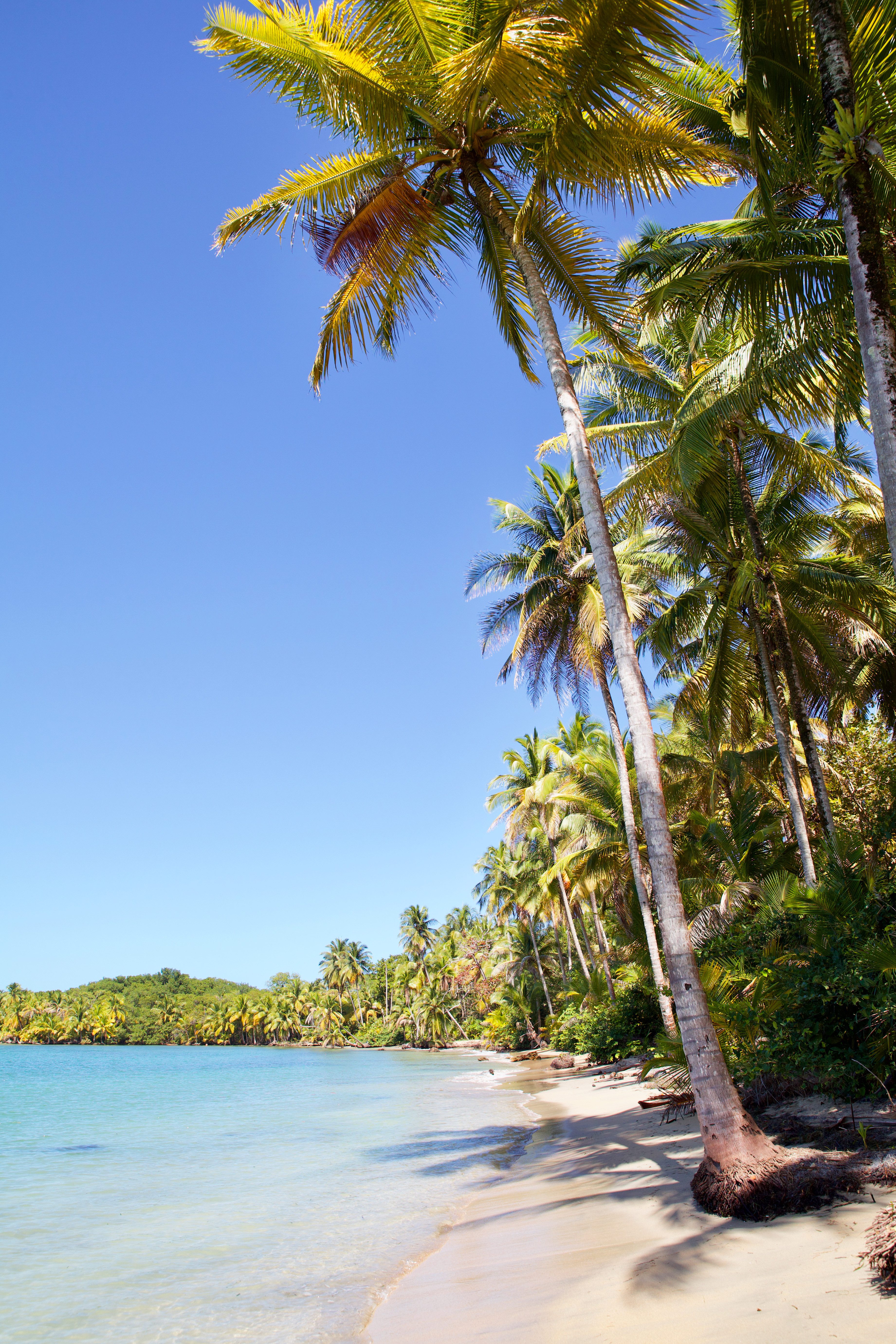 Het witte zandstrand van Bocas del Toro, Panama