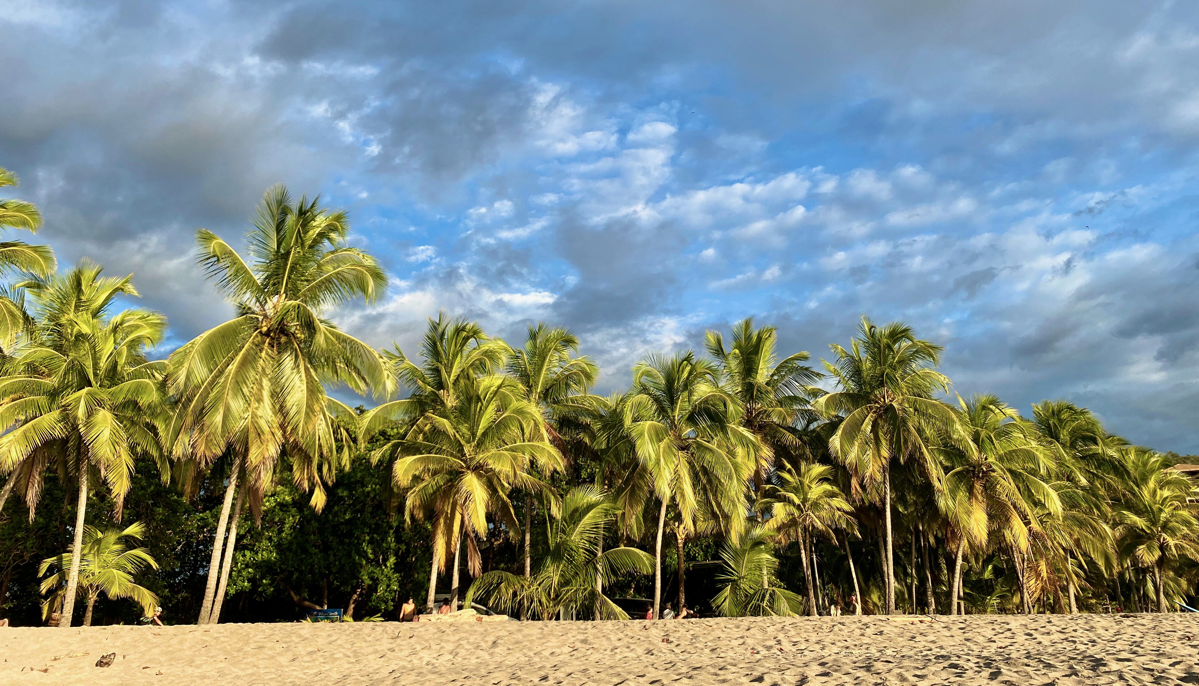 Het strand van Playa Carrillo, Costa Rica