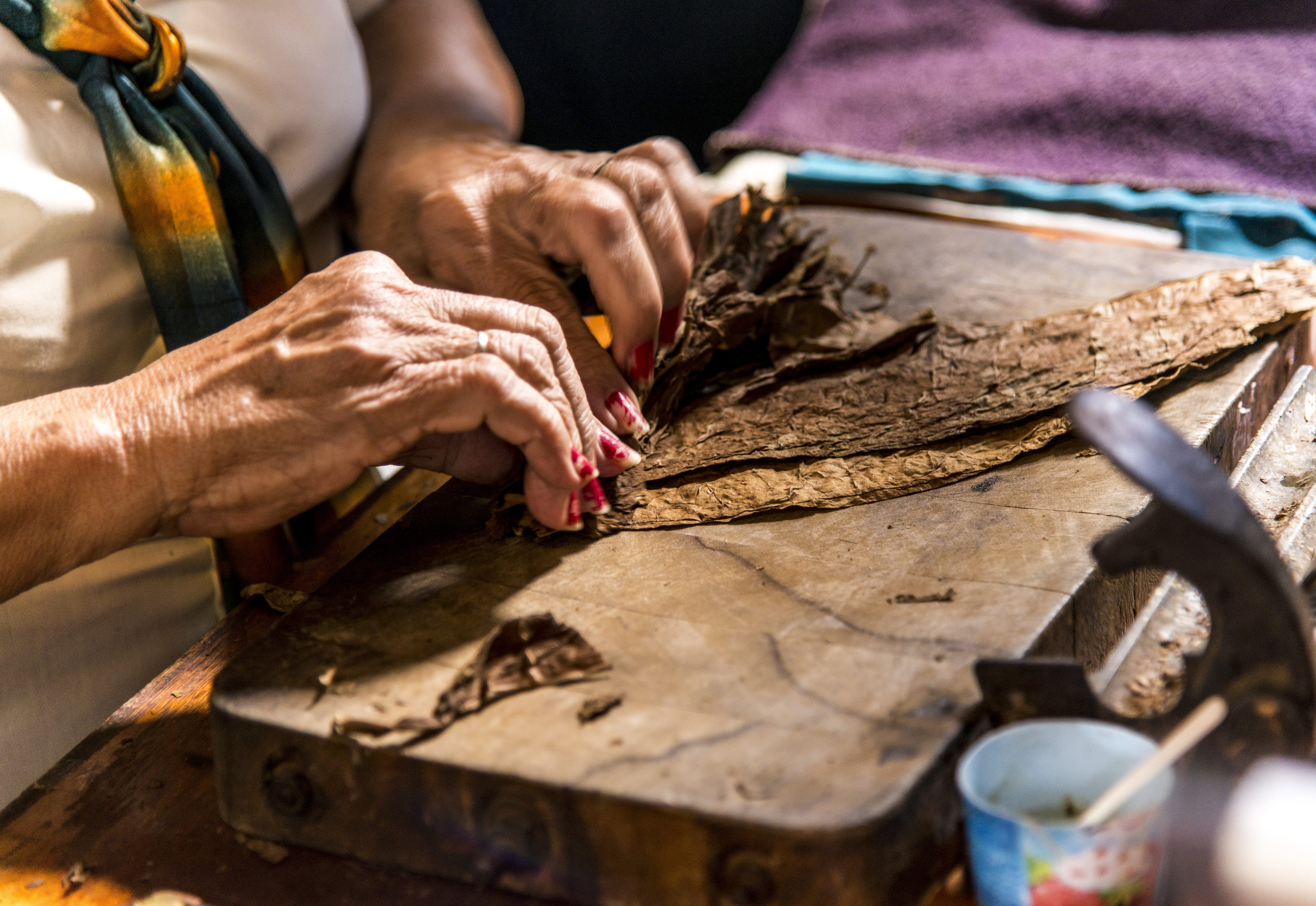 Een vrouw rolt sigaren in een tabaksplantage in Vinales, Cuba