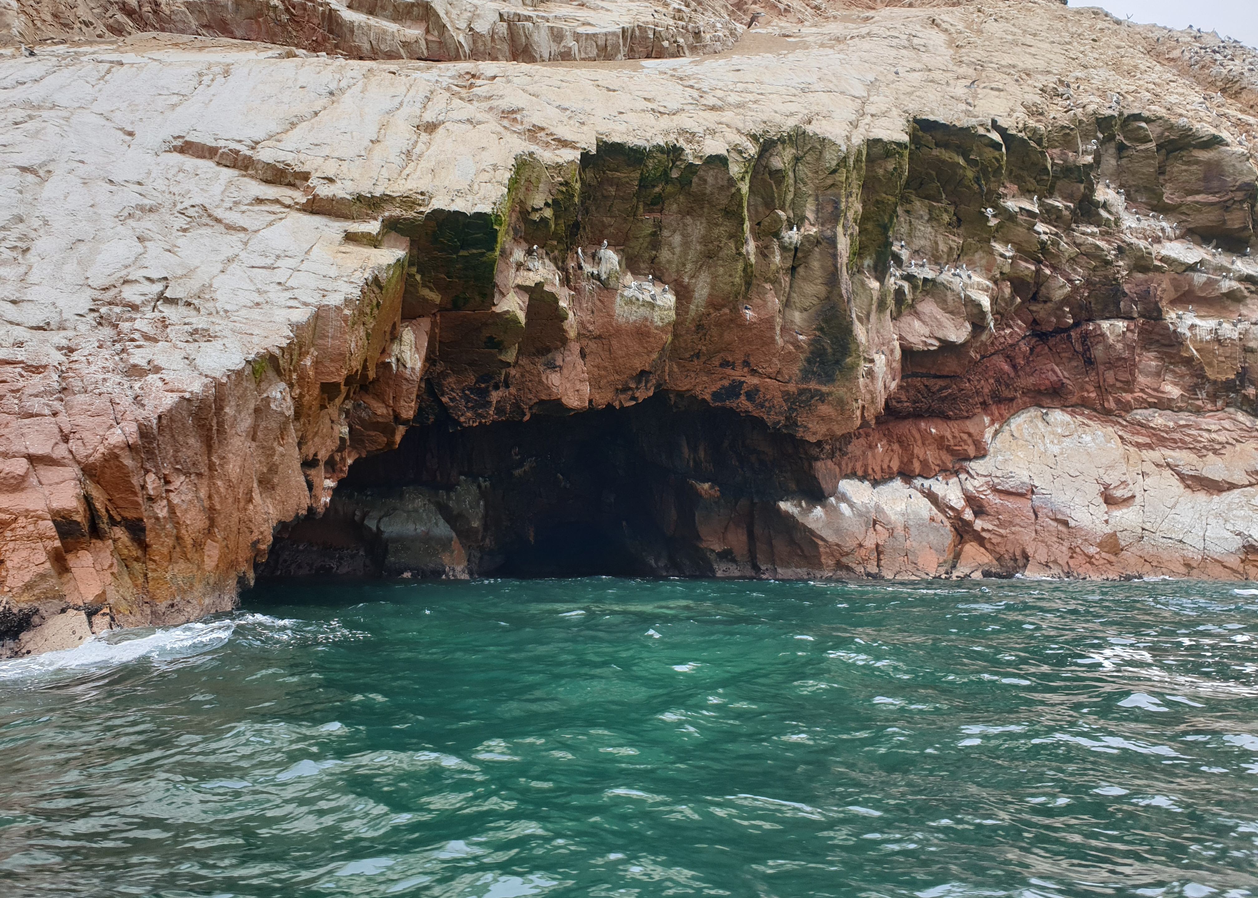 Maak een boottocht naar de Islas Ballestas eilanden in Peru