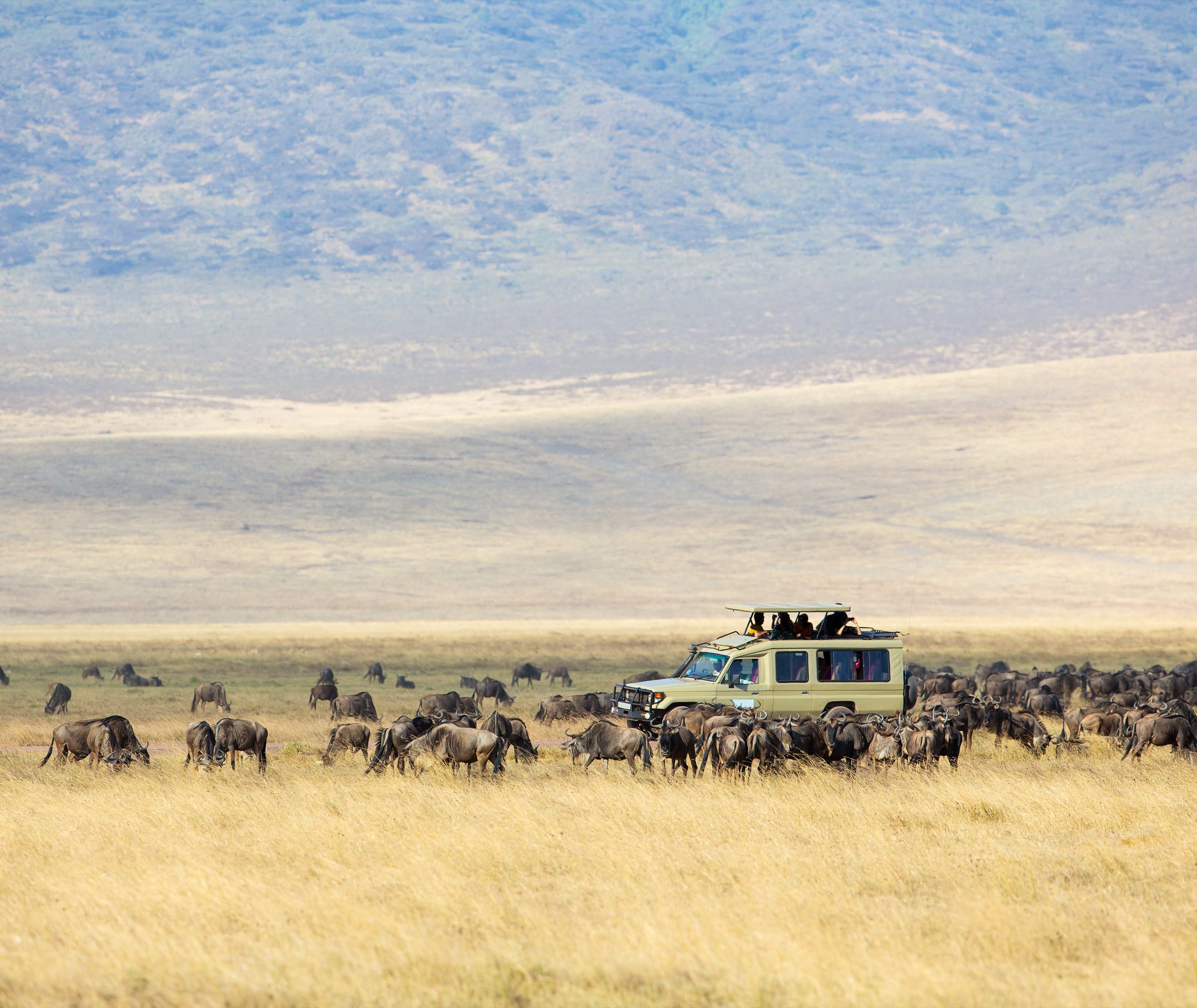 Ngorongoro Krater